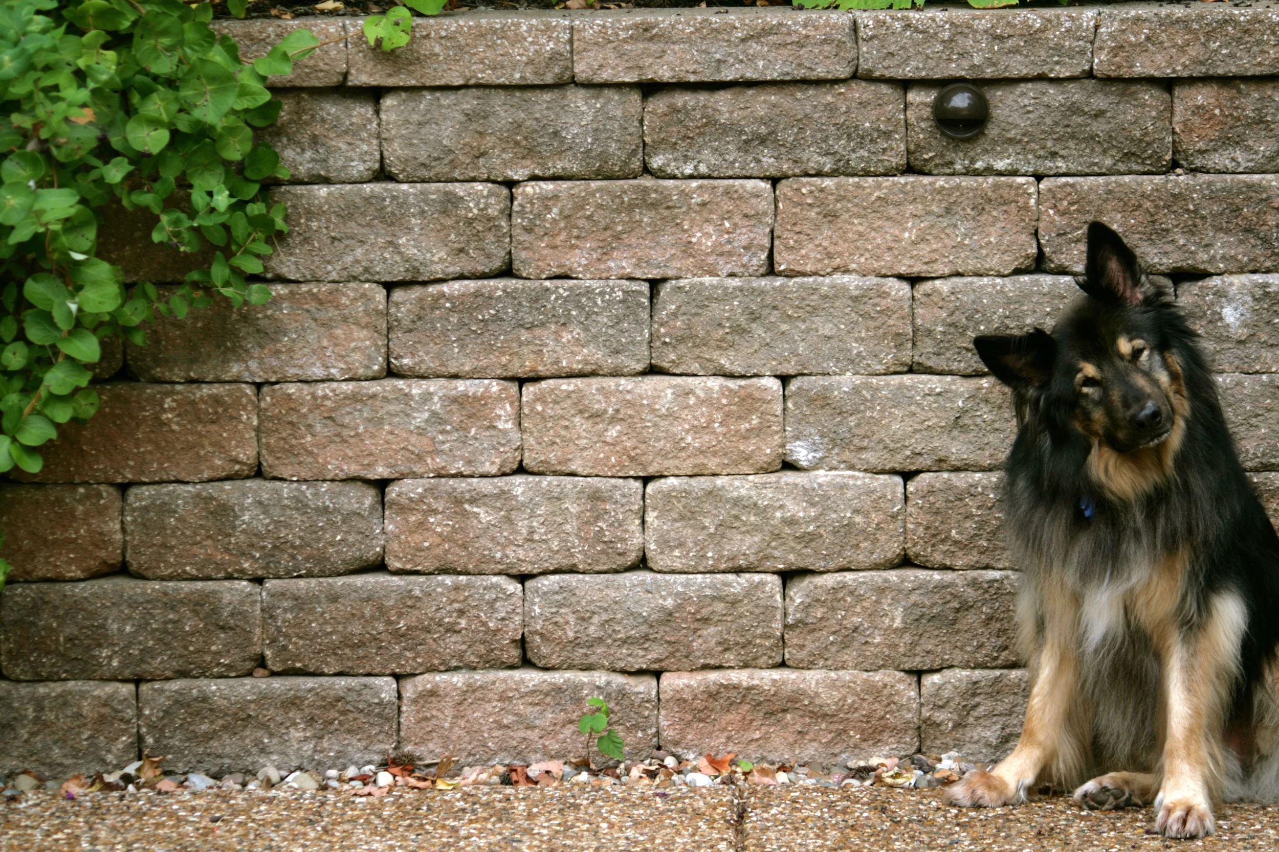 IMG_4977 - Version 3.JPG