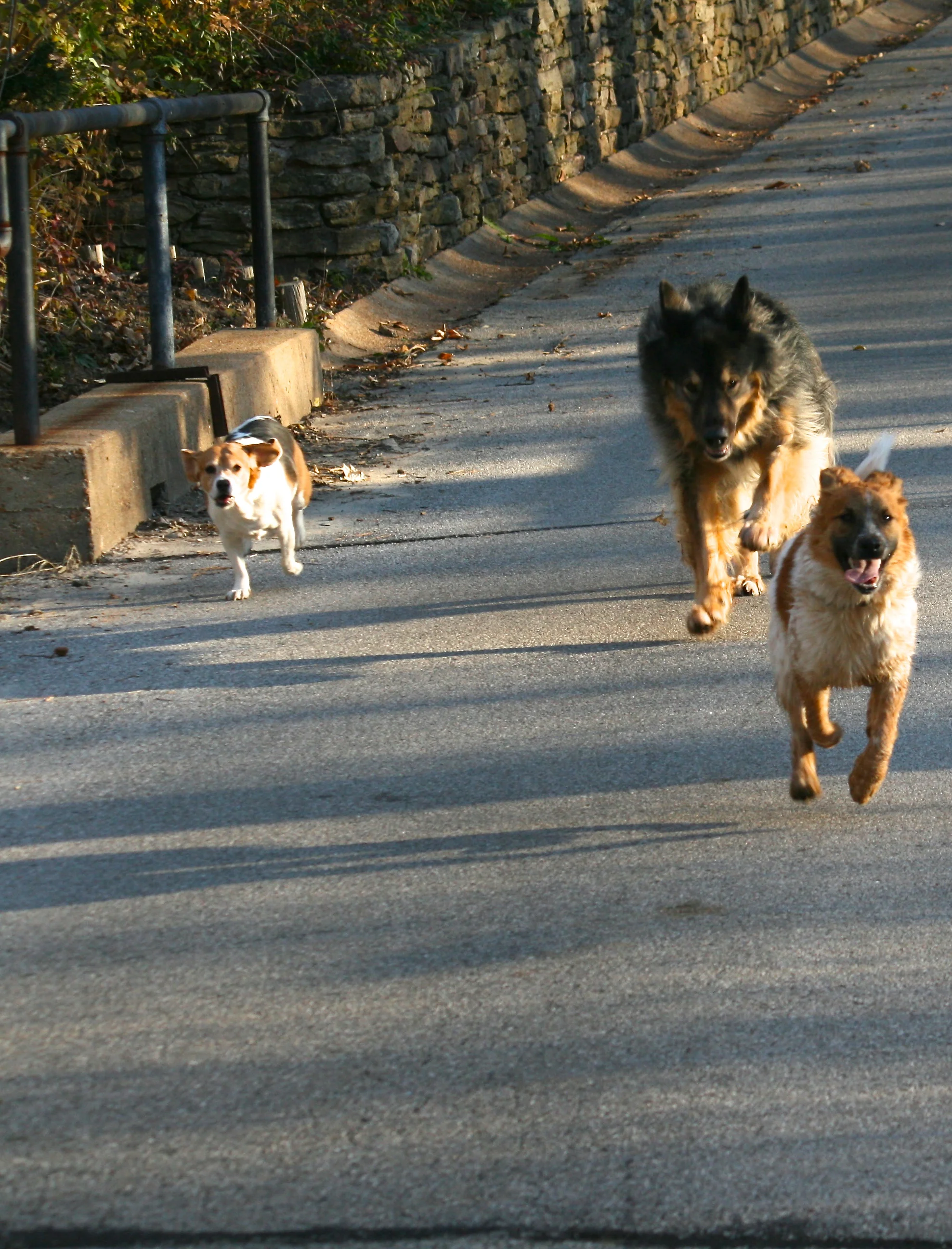 IMG_3916 - Version 3.JPG