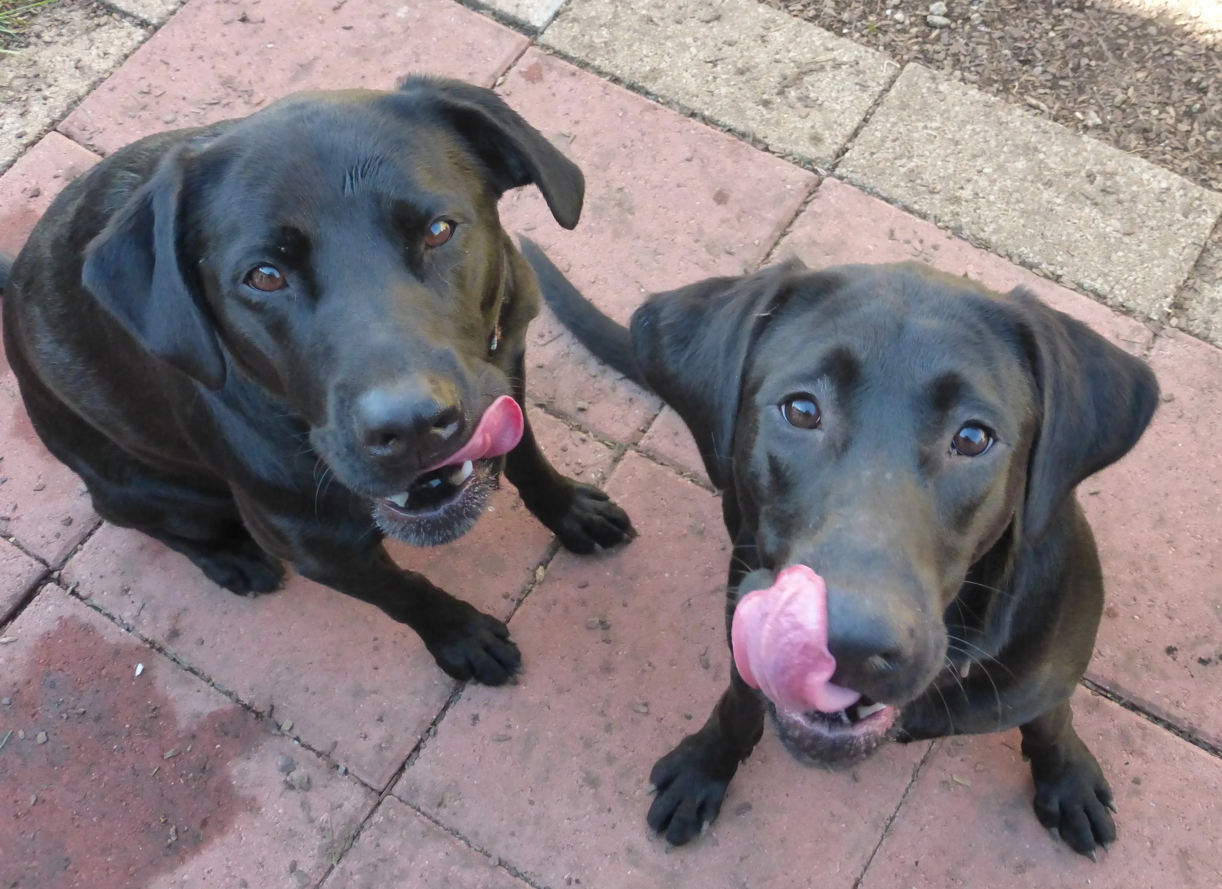 P1000617 - Version 3.JPG