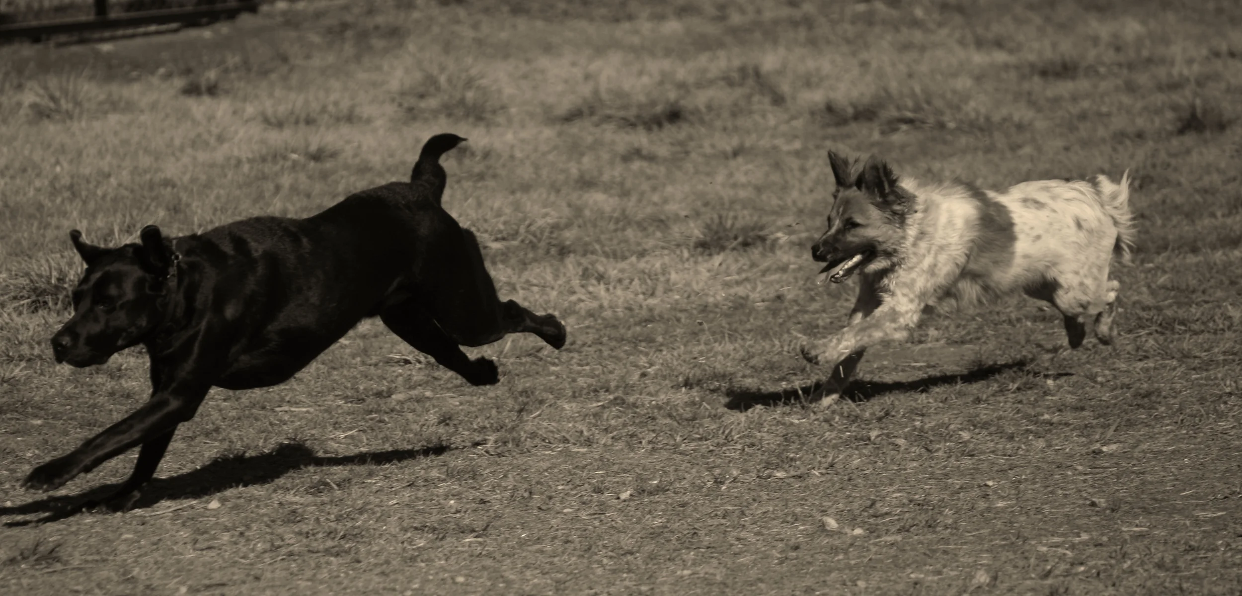 IMG_3982 - Version 2.JPG