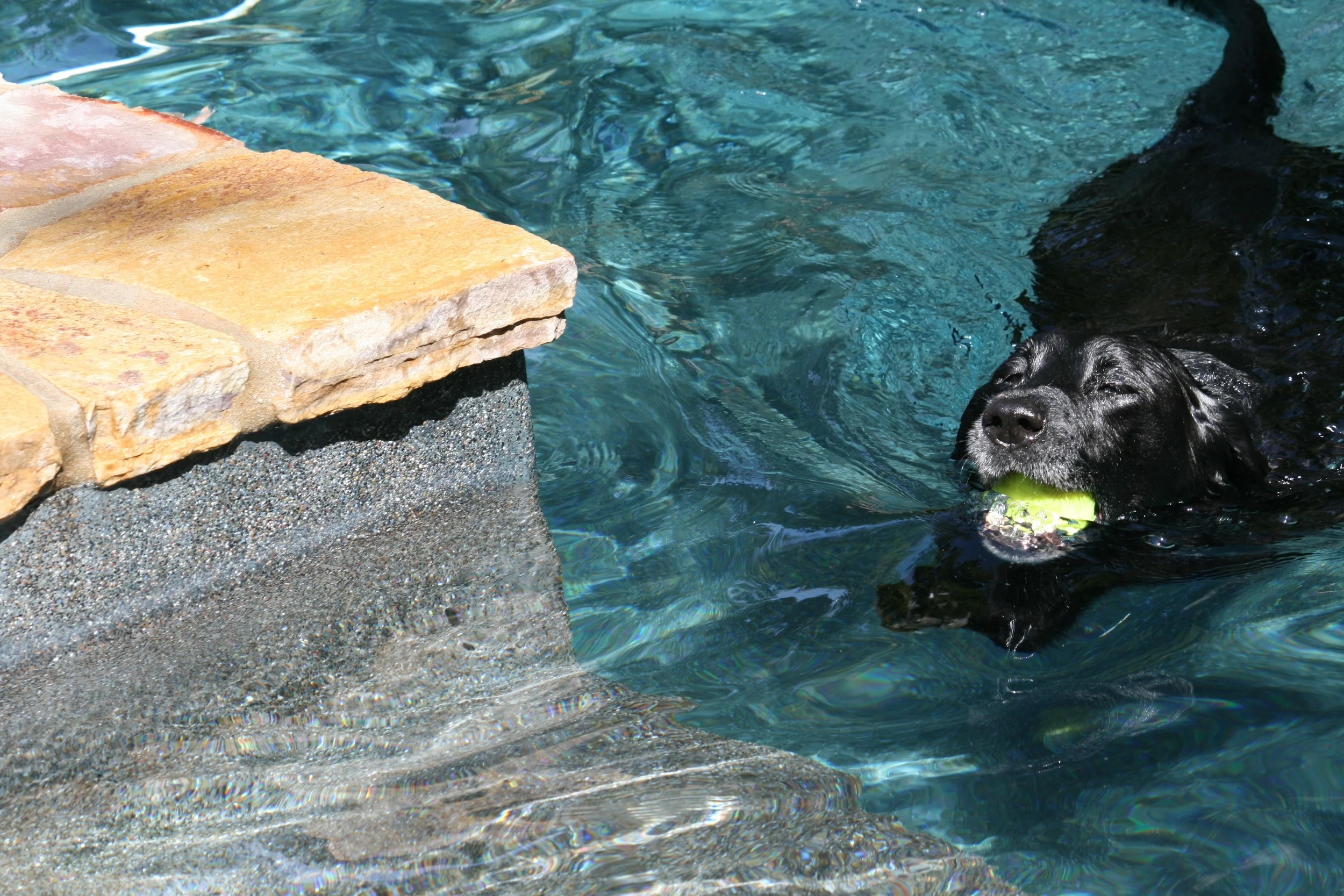 IMG_4958 - Version 2.JPG