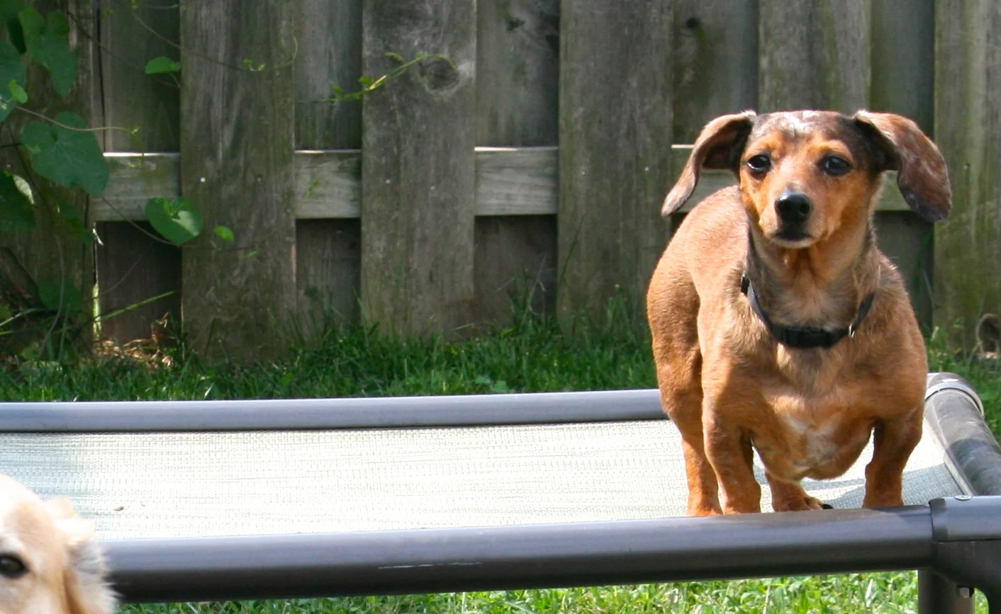 IMG_4937 - Version 2.JPG