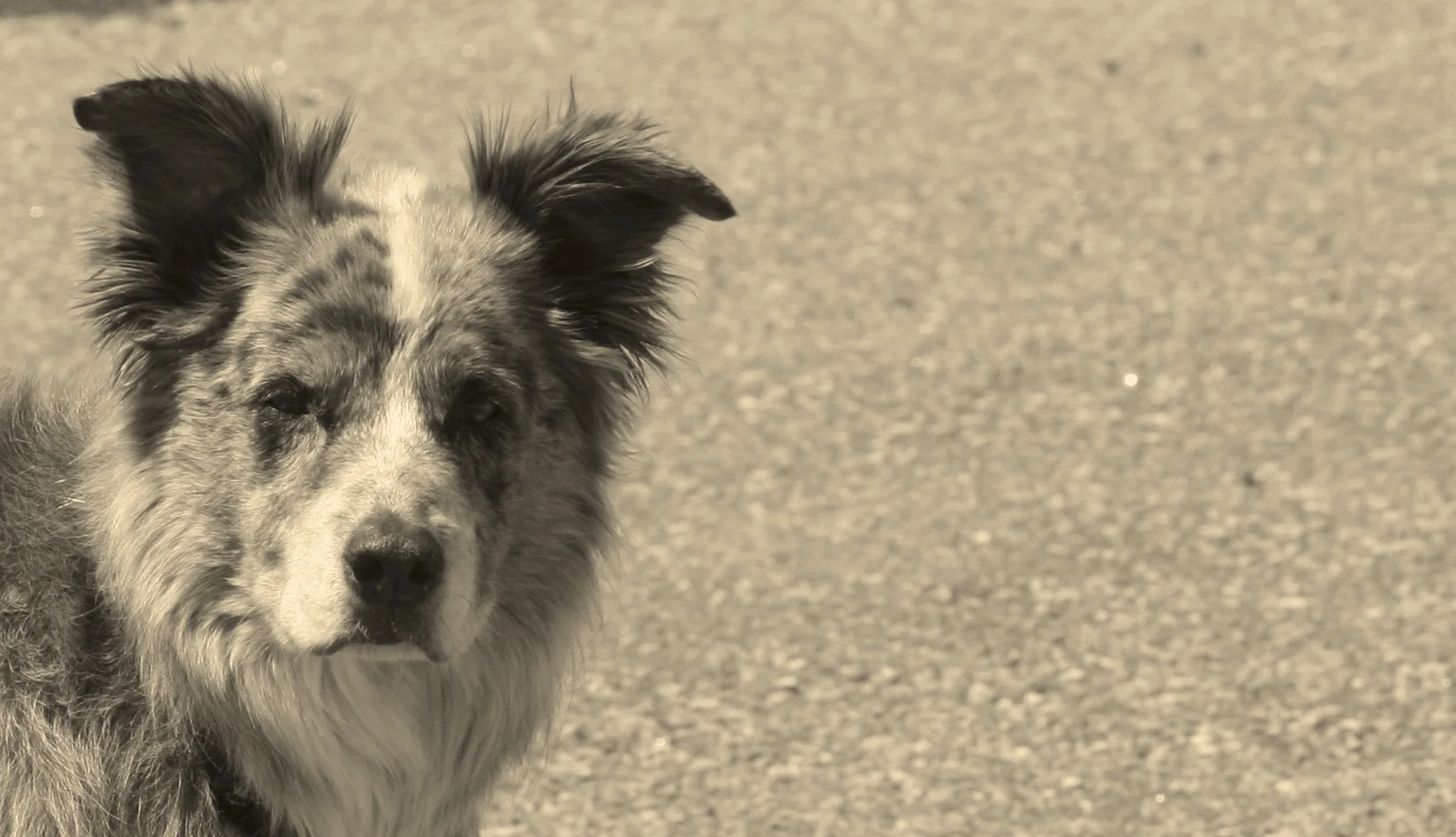 IMG_3420 - Version 2.JPG