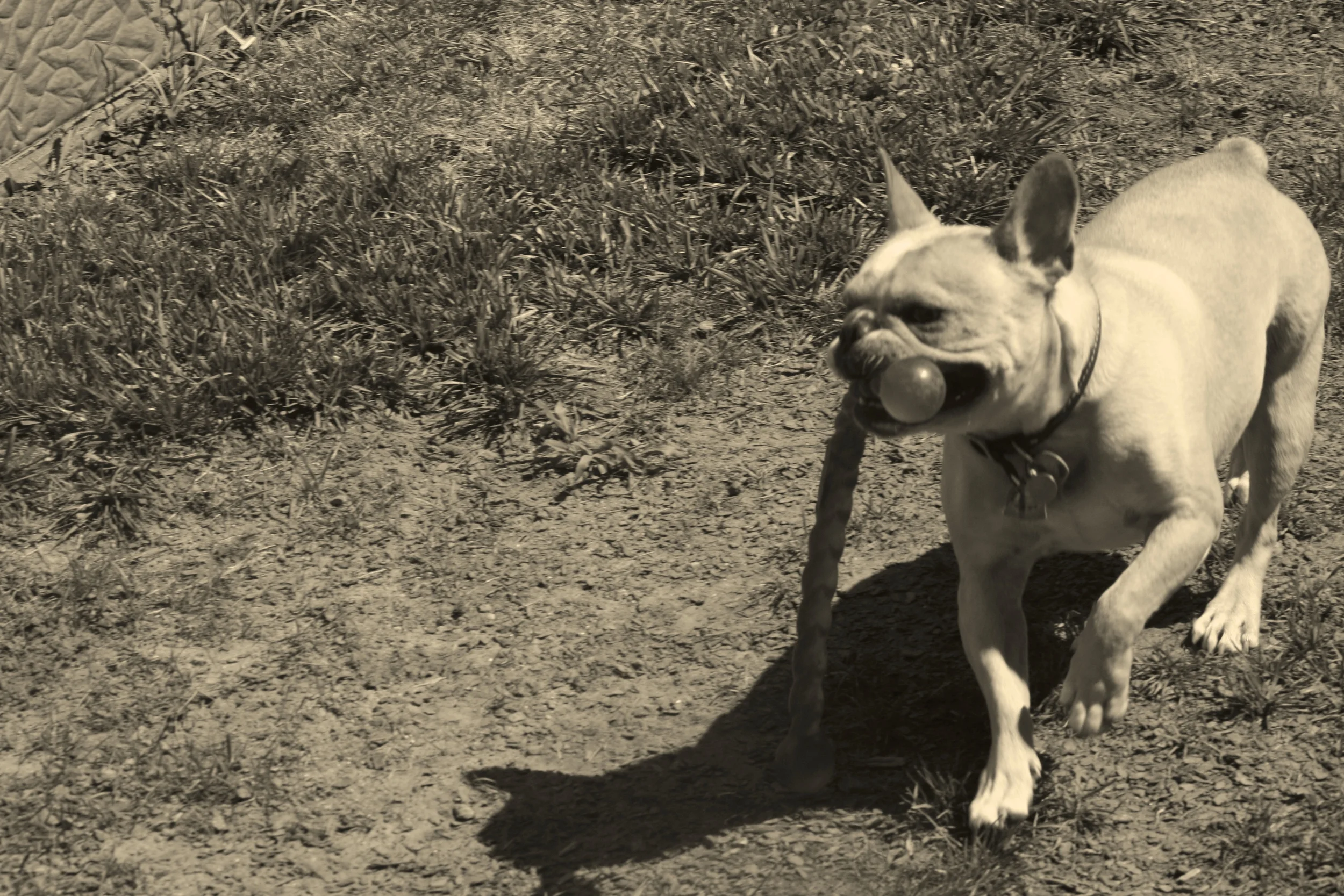 IMG_4734 - Version 2.JPG