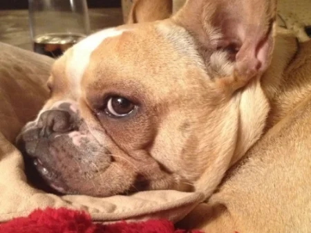 You talkin' to ME?