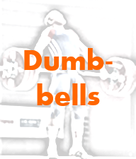 03 Dumbbells.png