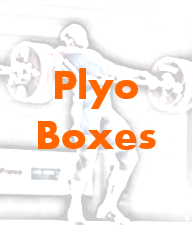 10 Plyo Boxes.png