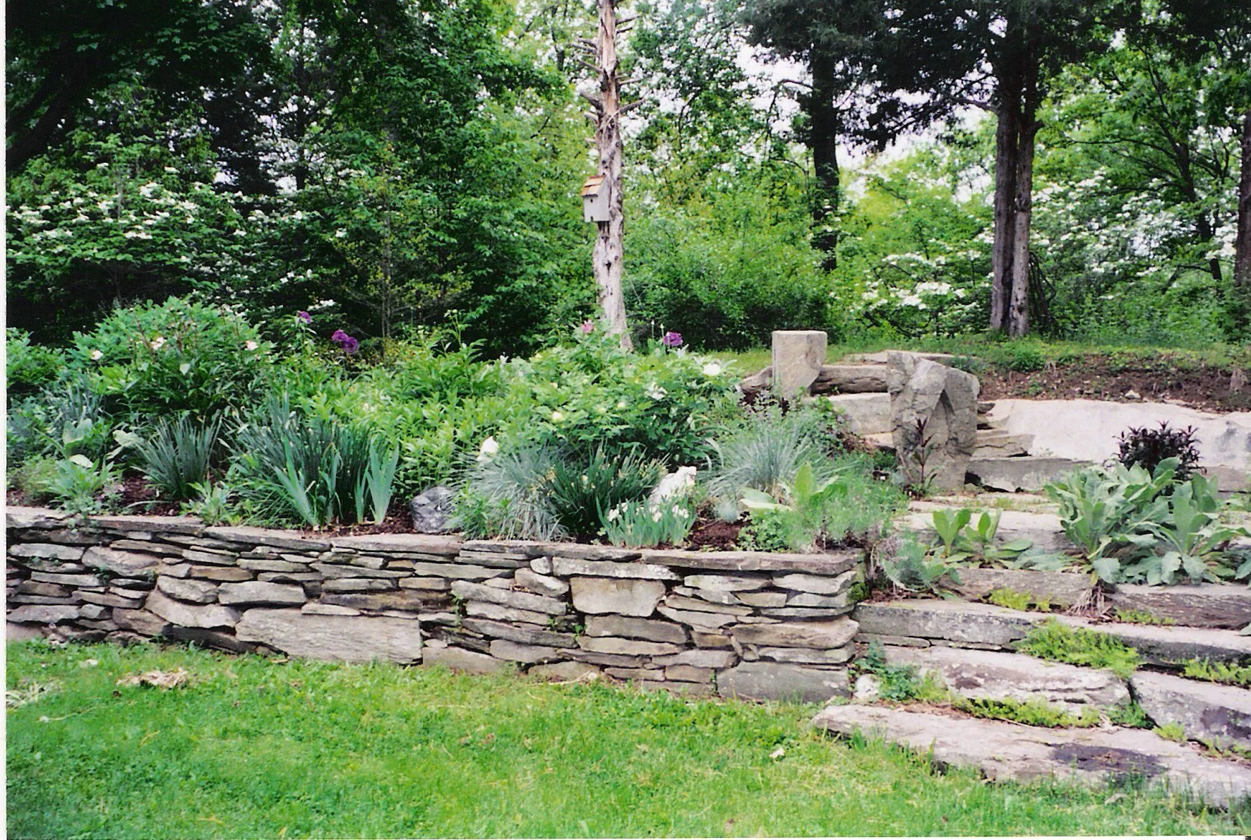 gardenwall.jpg