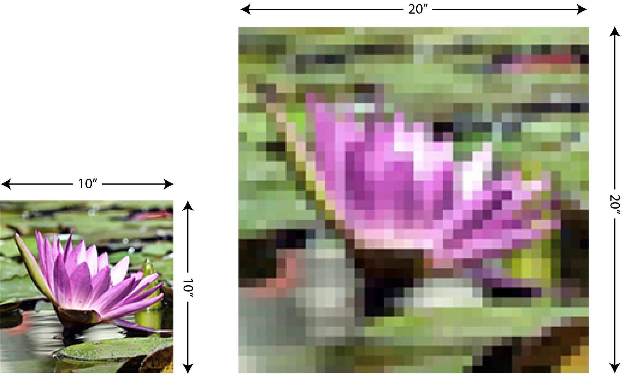 Sidebyside.png