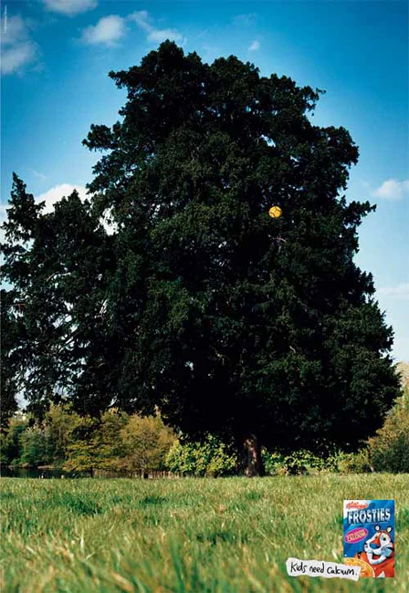 kelloggs tree.jpg