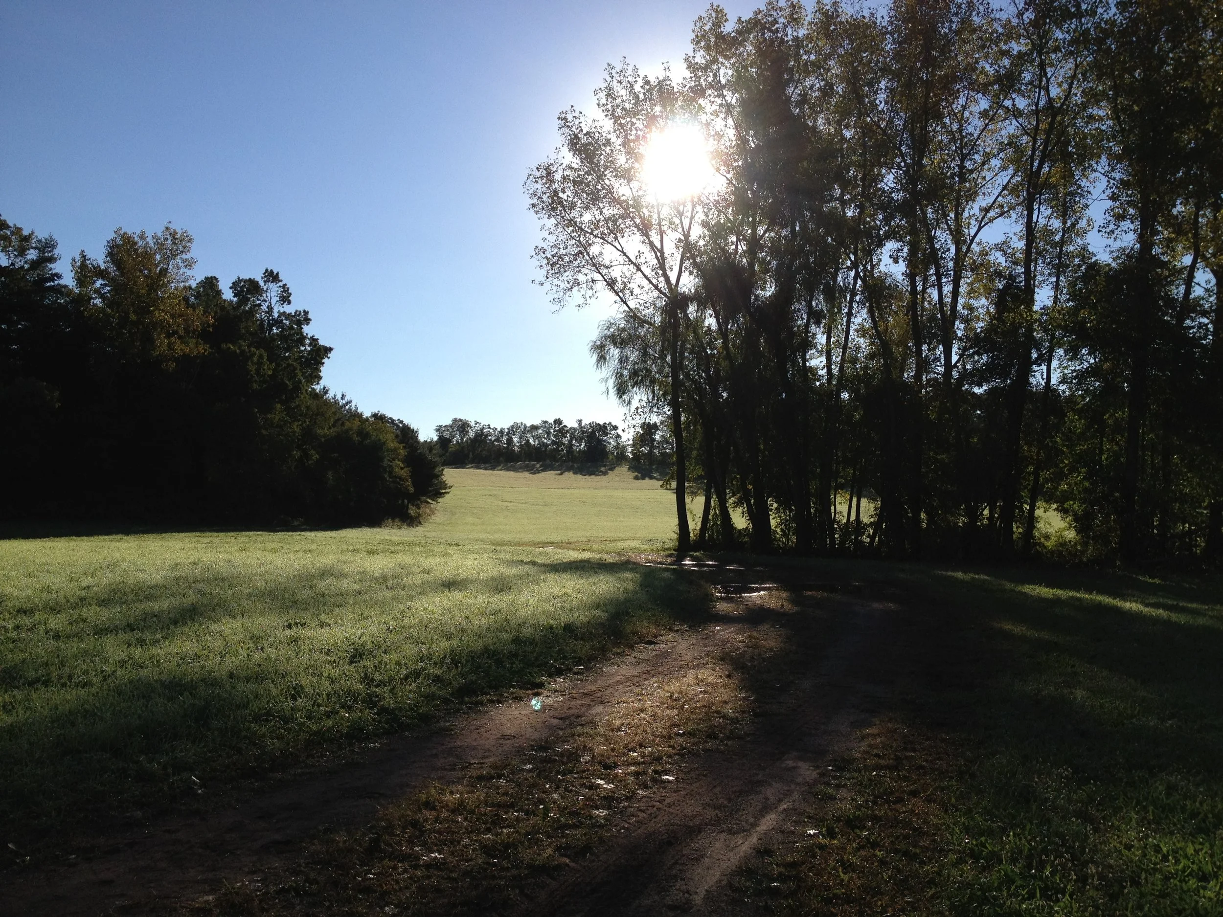  Gorgeous trails stretch through the back of the property 