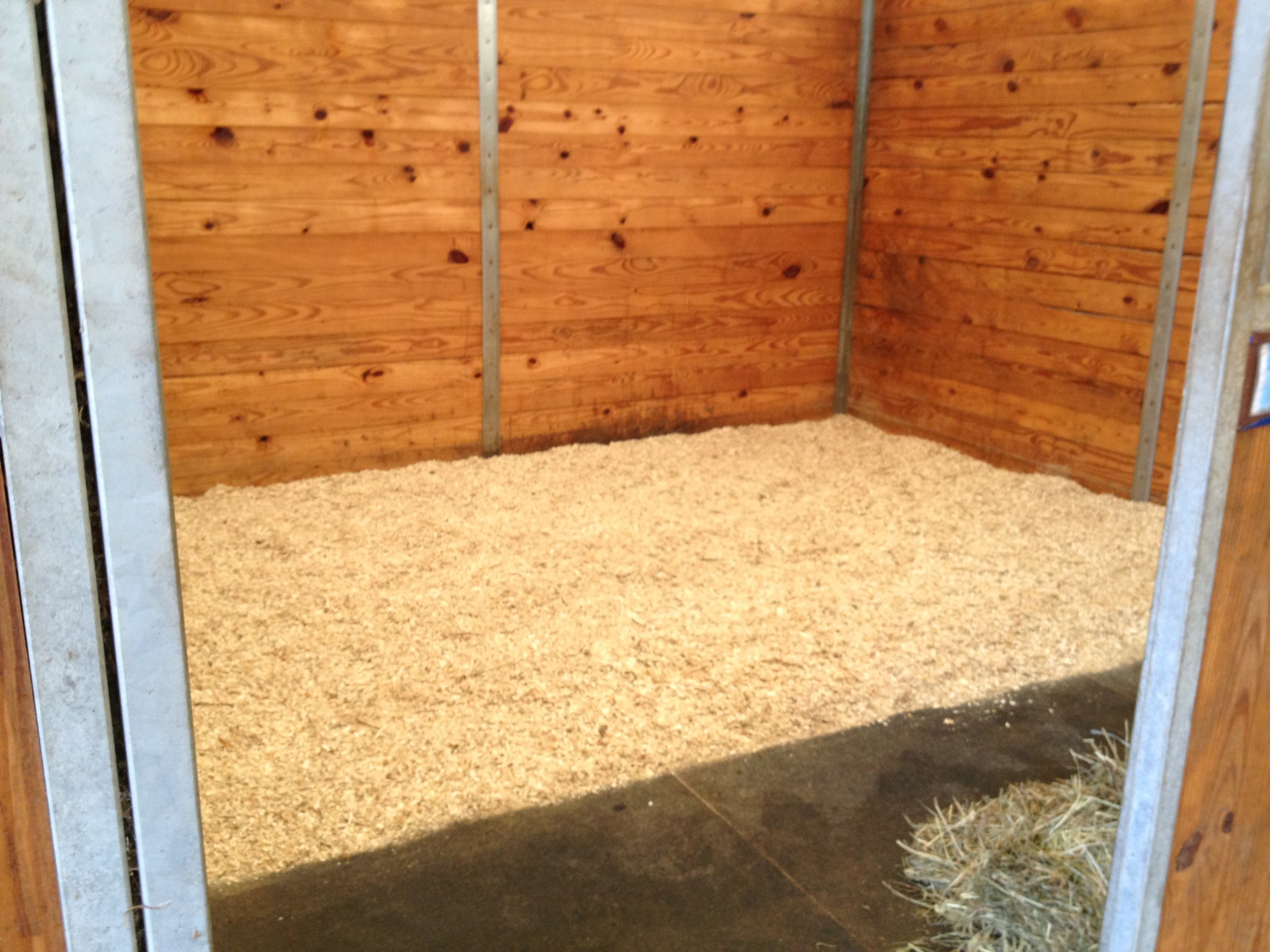 12x12 bright, airy, matted stalls. Always well bedded with fresh hay and shavings 