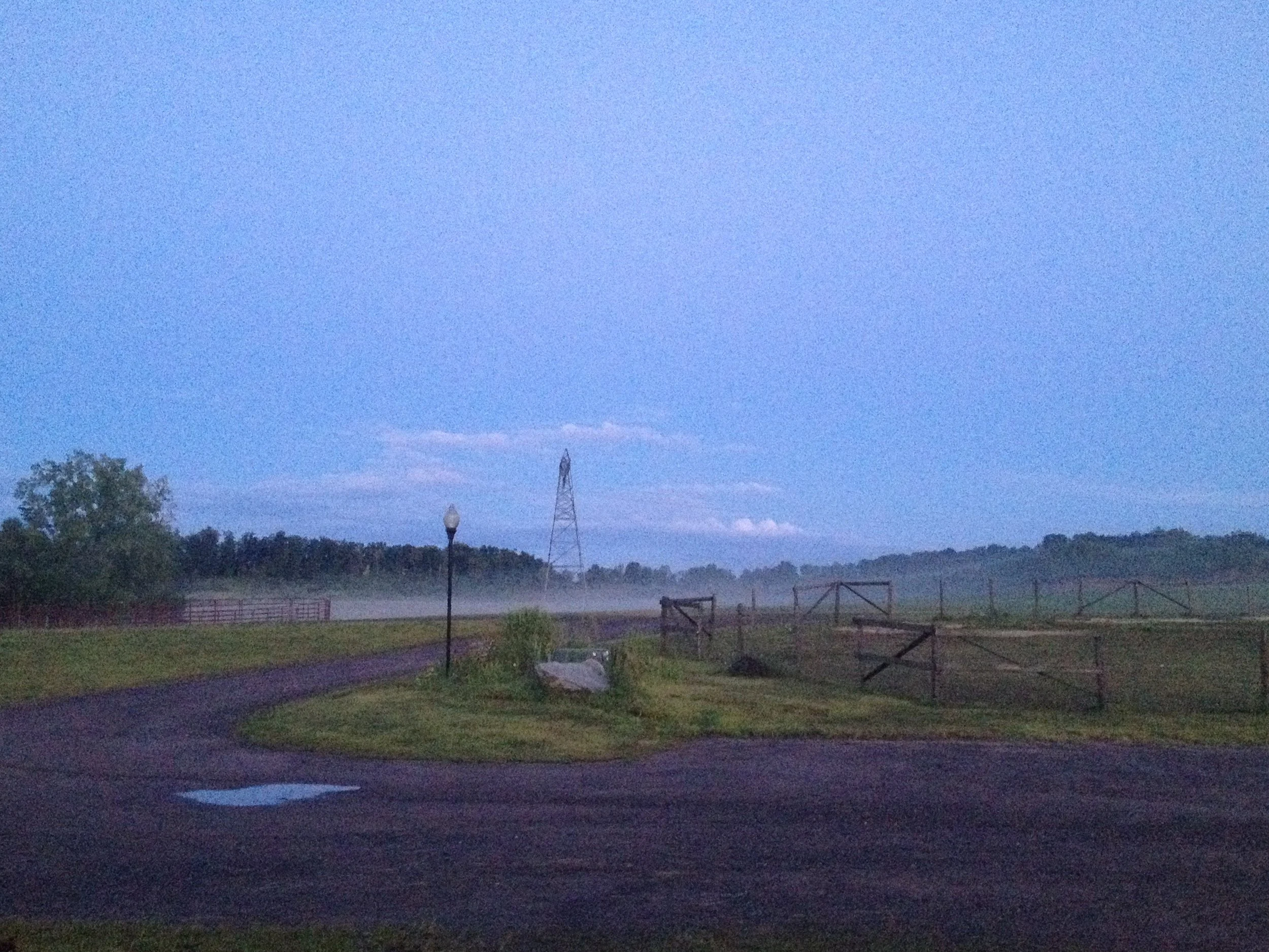 Well maintained, private, grass turnouts for all day individual turnout 