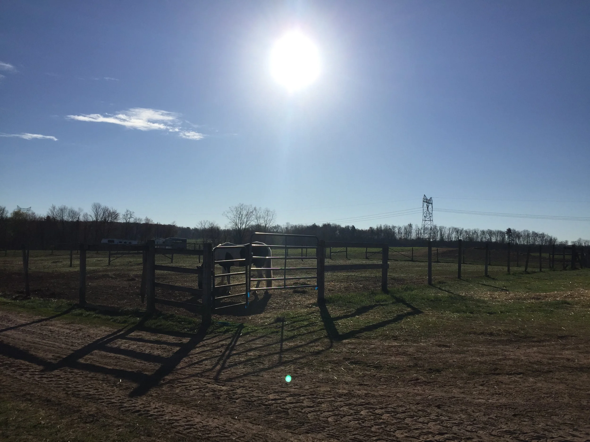  All day turnout 8am-4pm 