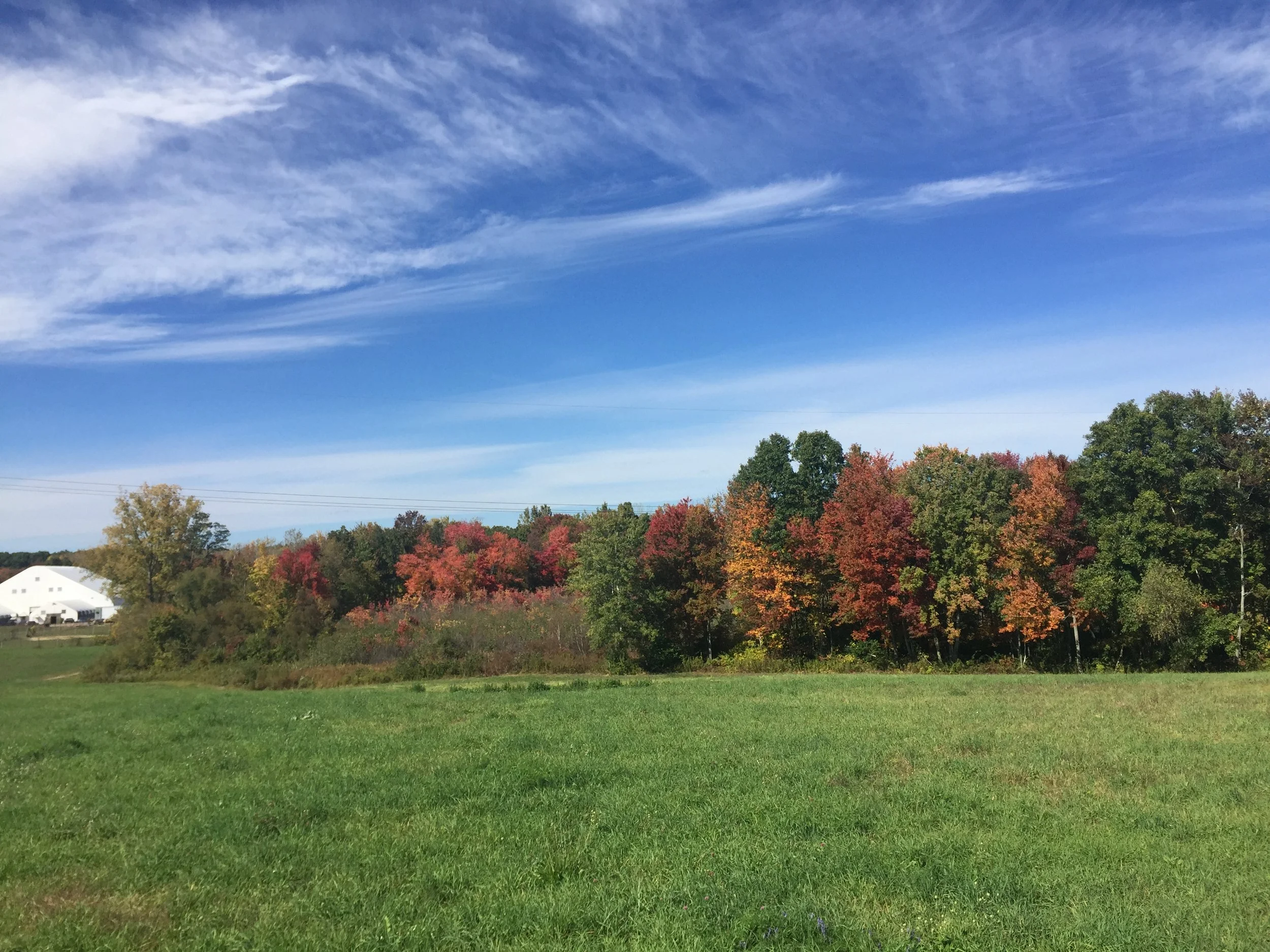  Fall foliage makes for beautiful photo shoots 