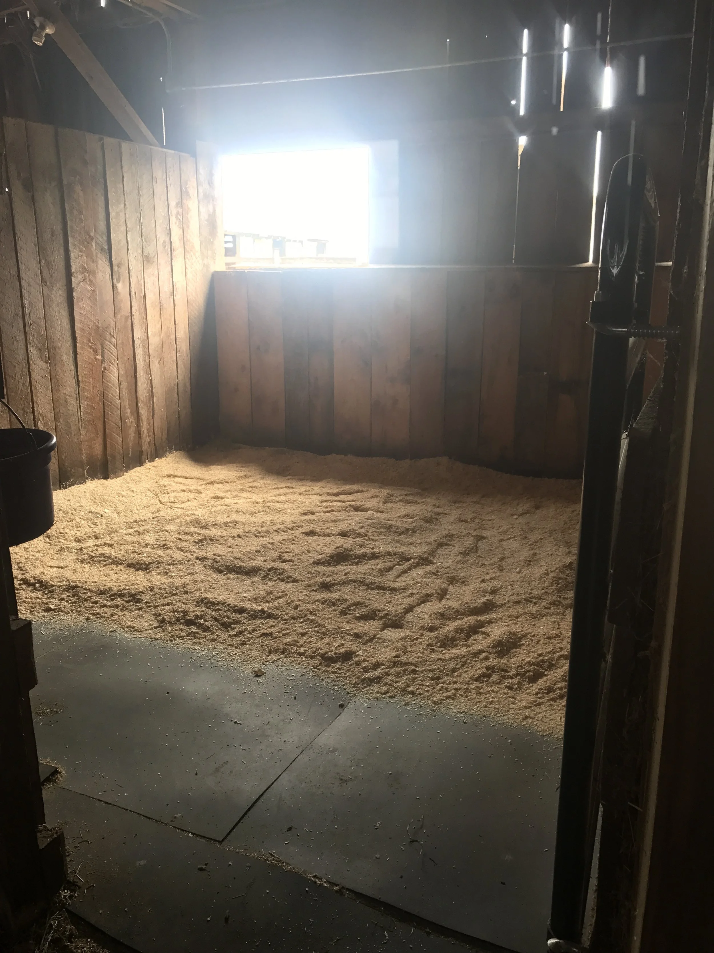  Stalls detached from the indoor with personal windows 