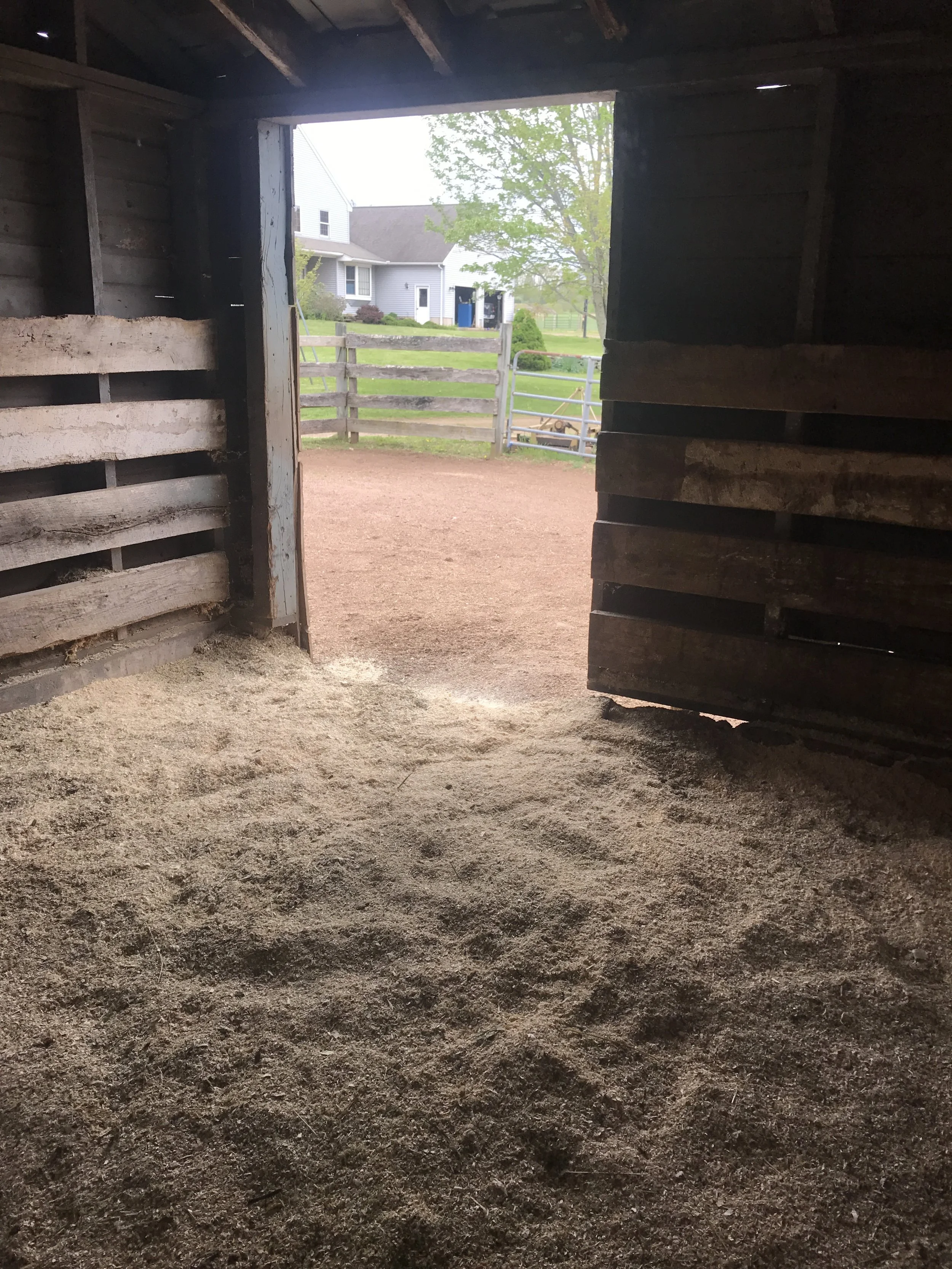  well-bedded stalls cleaned daily 