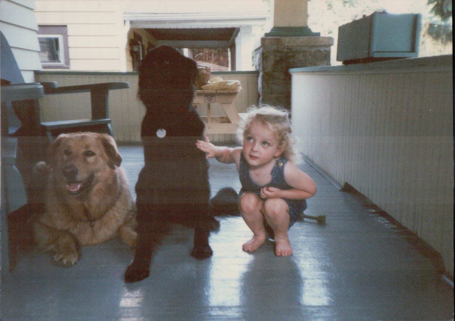  From left: Henry, Bailey, Maggie 