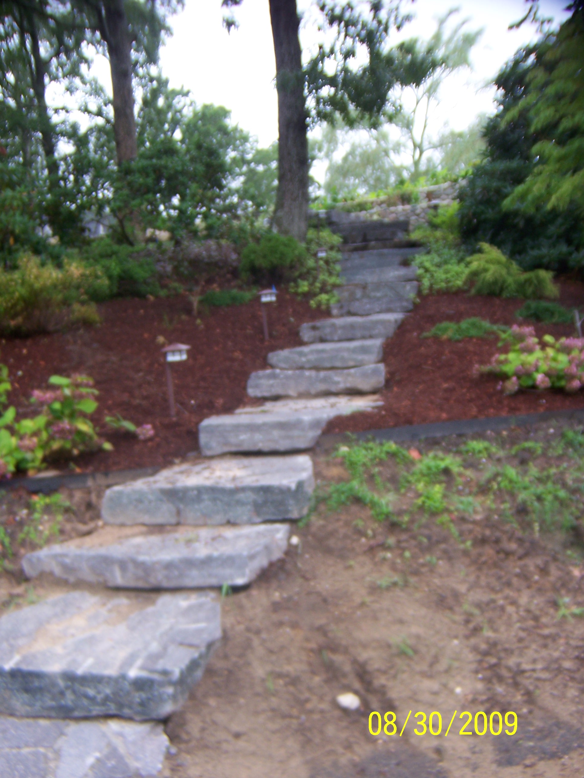 Picture2009Steps.jpg