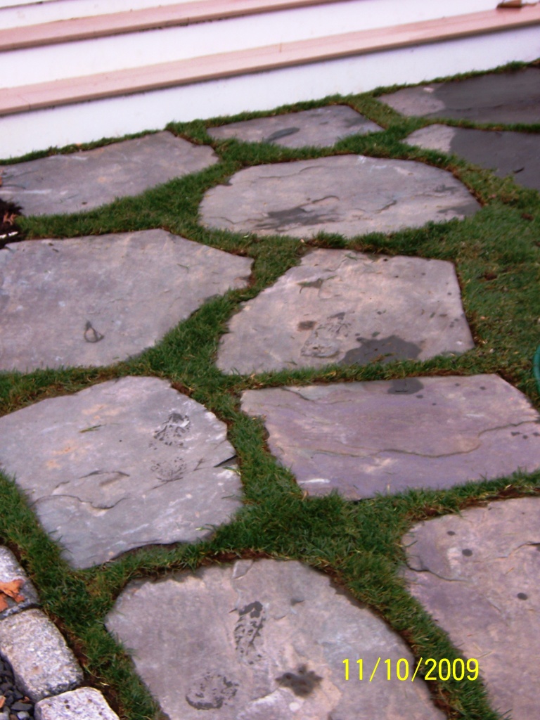IrrBlueSt-w-grass01.jpg
