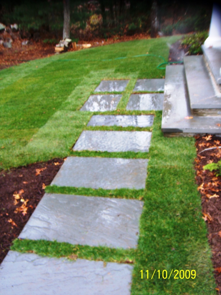 MultiBlueSt-w-grass01.jpg