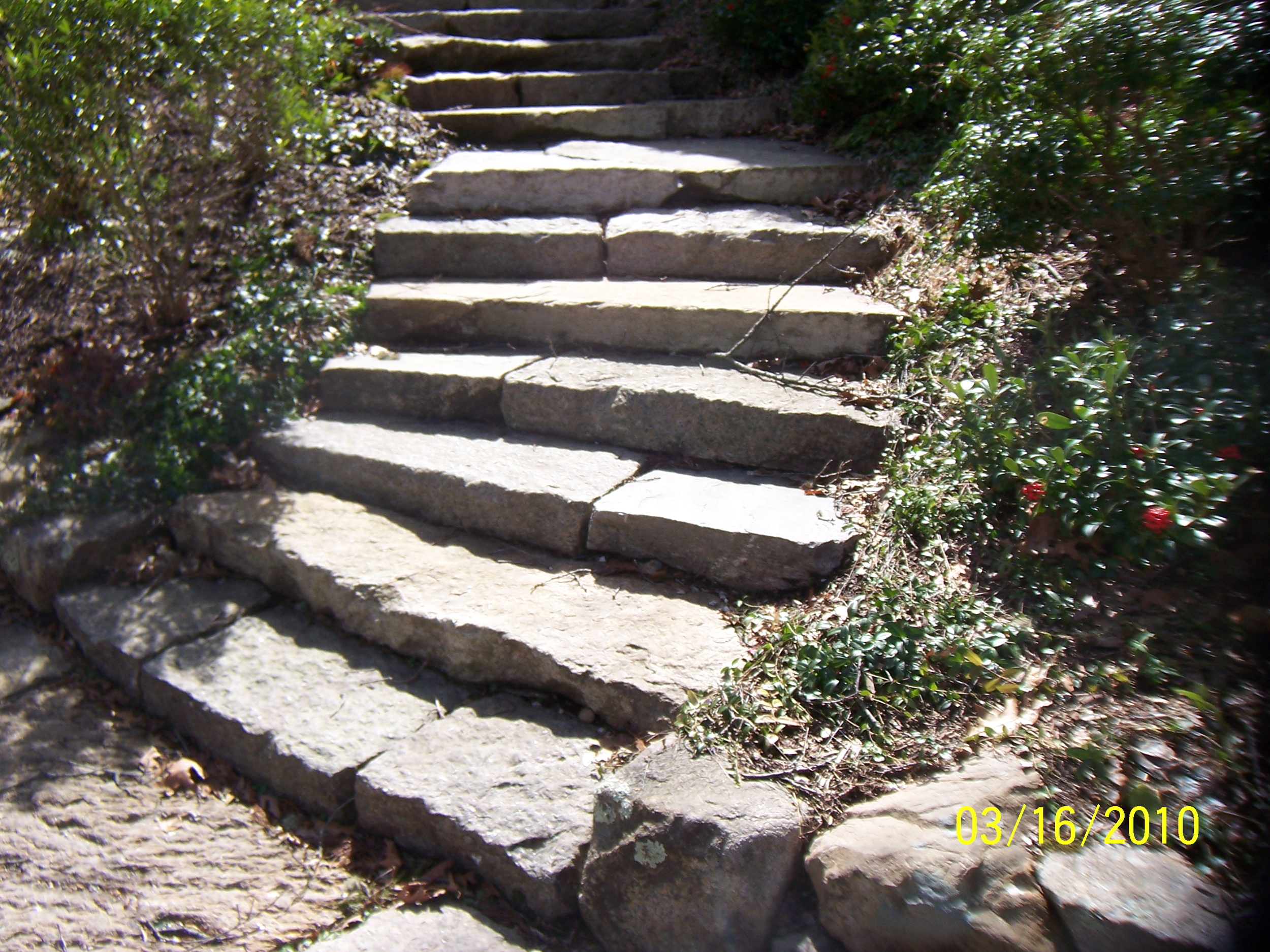CwHgSpring2010.jpg