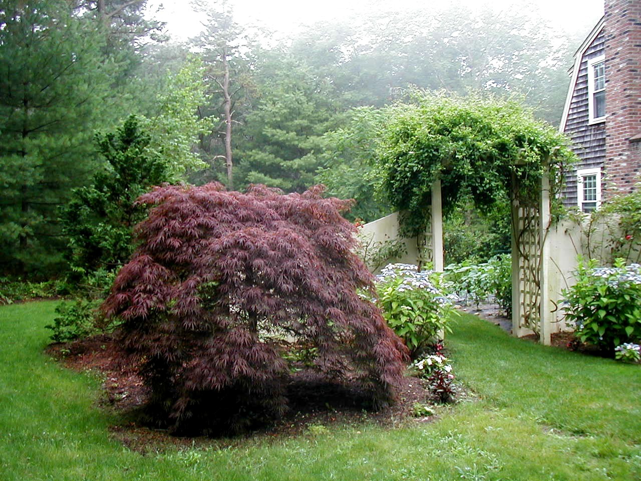 CwHgSpring2010 006.jpg