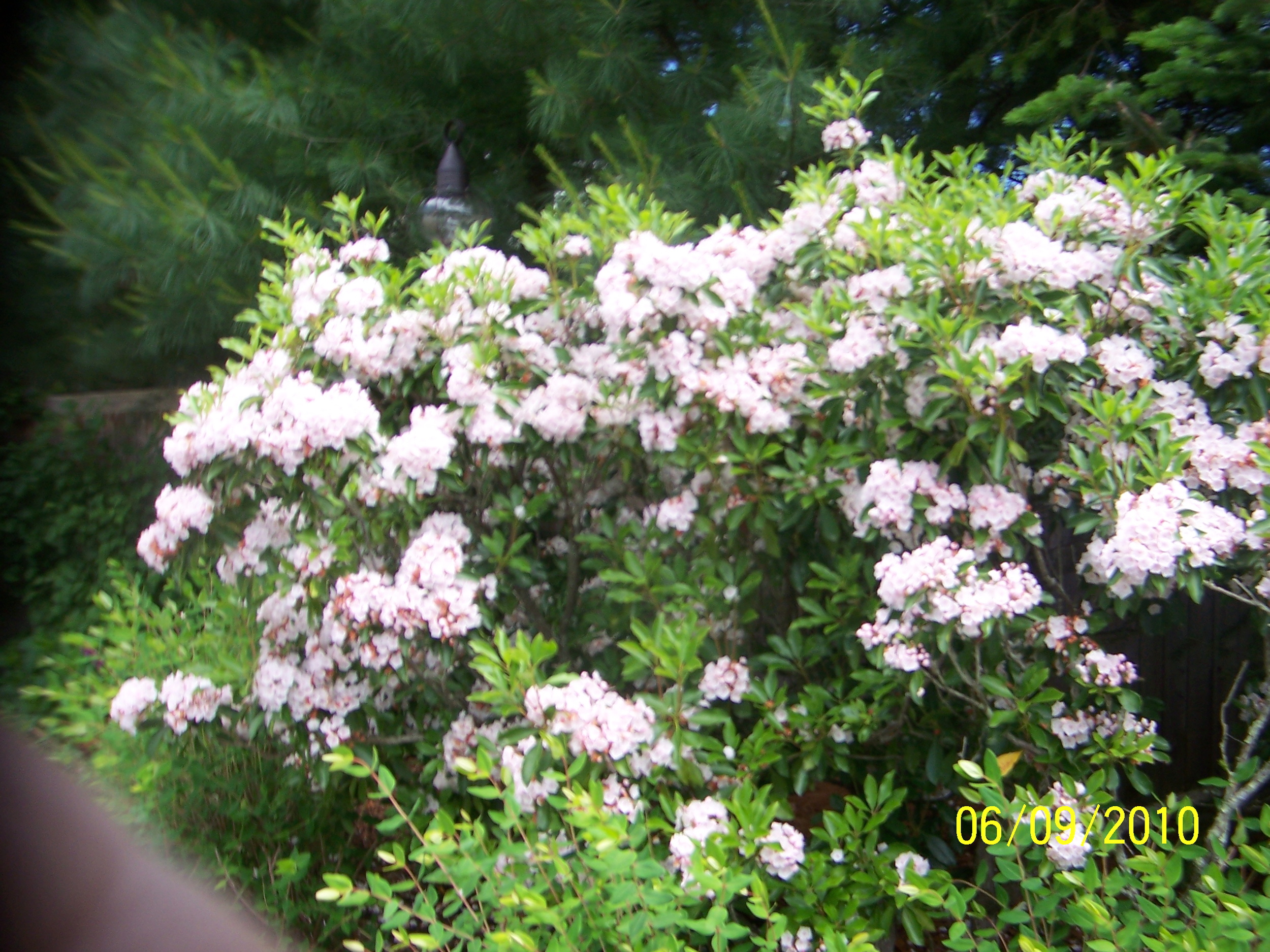 LkWt 007.jpg