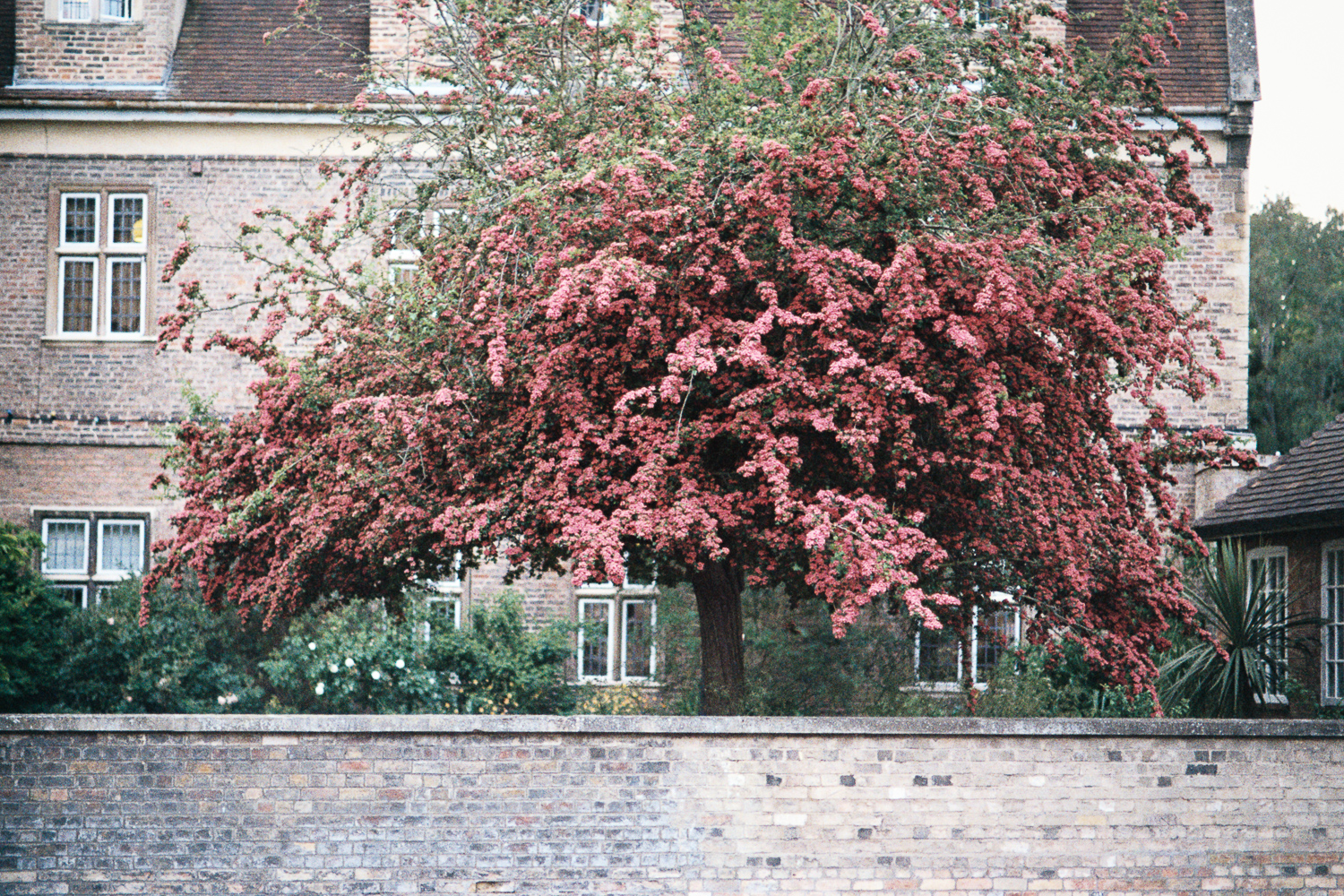 fine-art-photography-travel-cambridge-6.jpeg