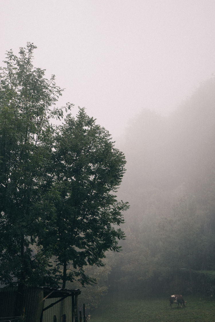 rainy-day-in-mountains-london-photographer-ksenia-zizna-2.jpeg