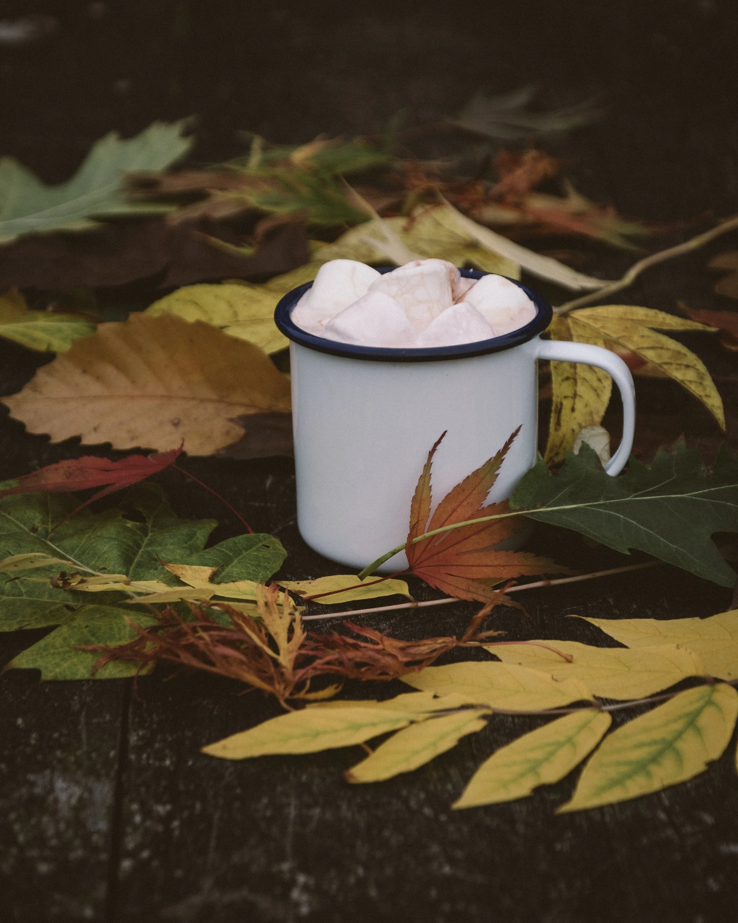 I call it "A Portrait Of A Hot Chocolate In The Autumn Forest"