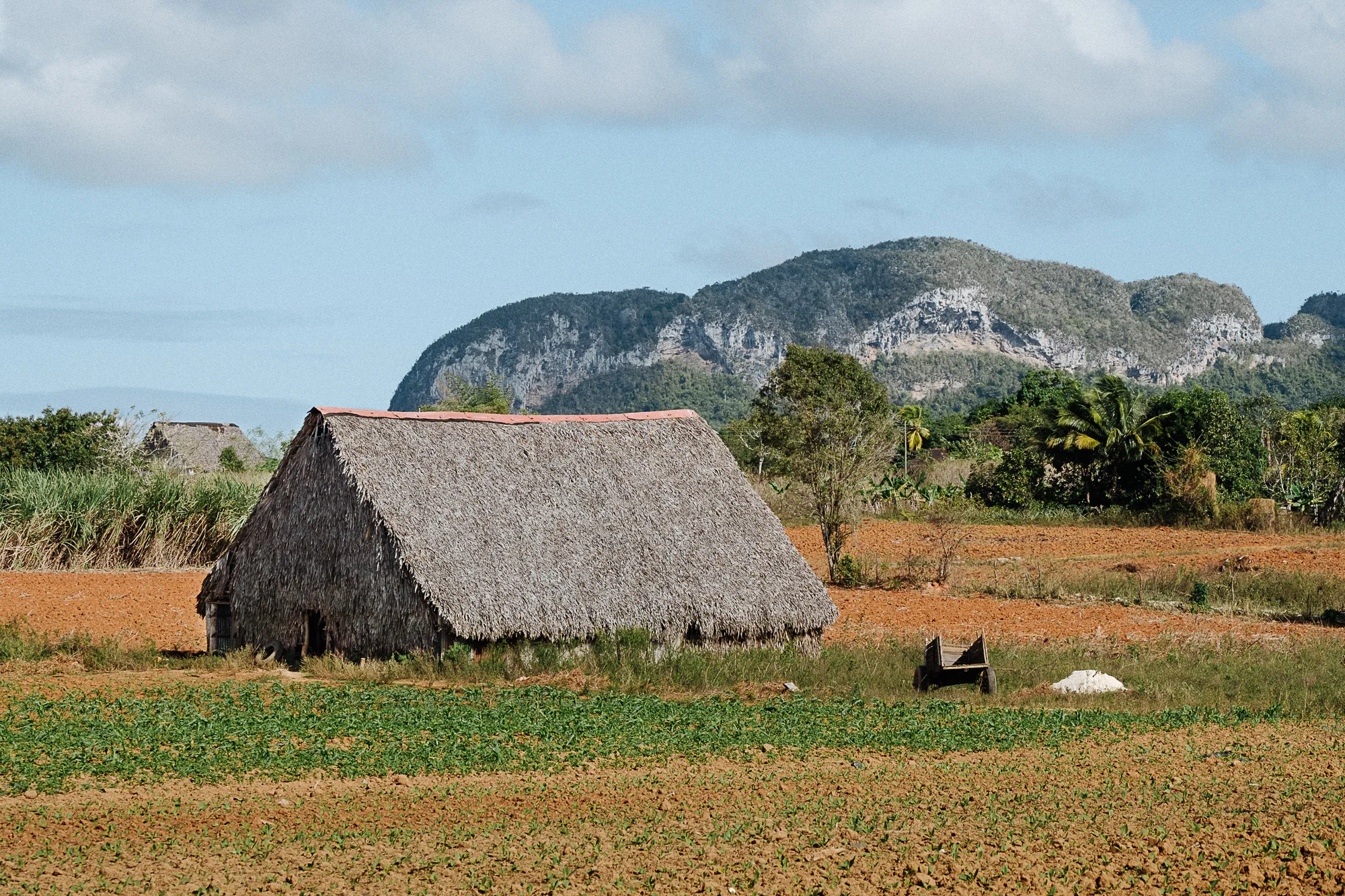 A barn, where tobacco leaves kept during the drying process