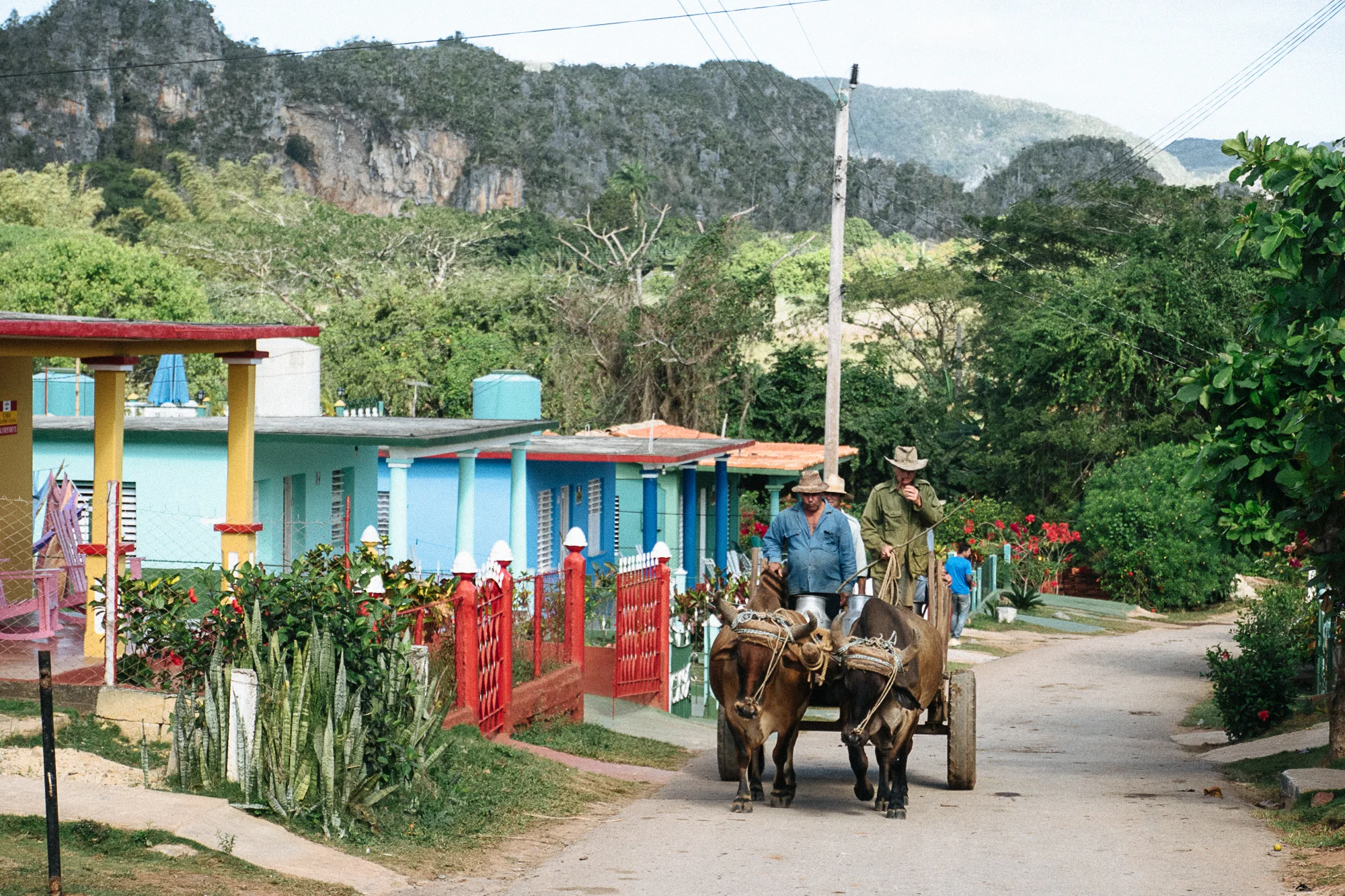 fat-creative-travel-cuba-visit-vinales-architecture-vernacular.jpg