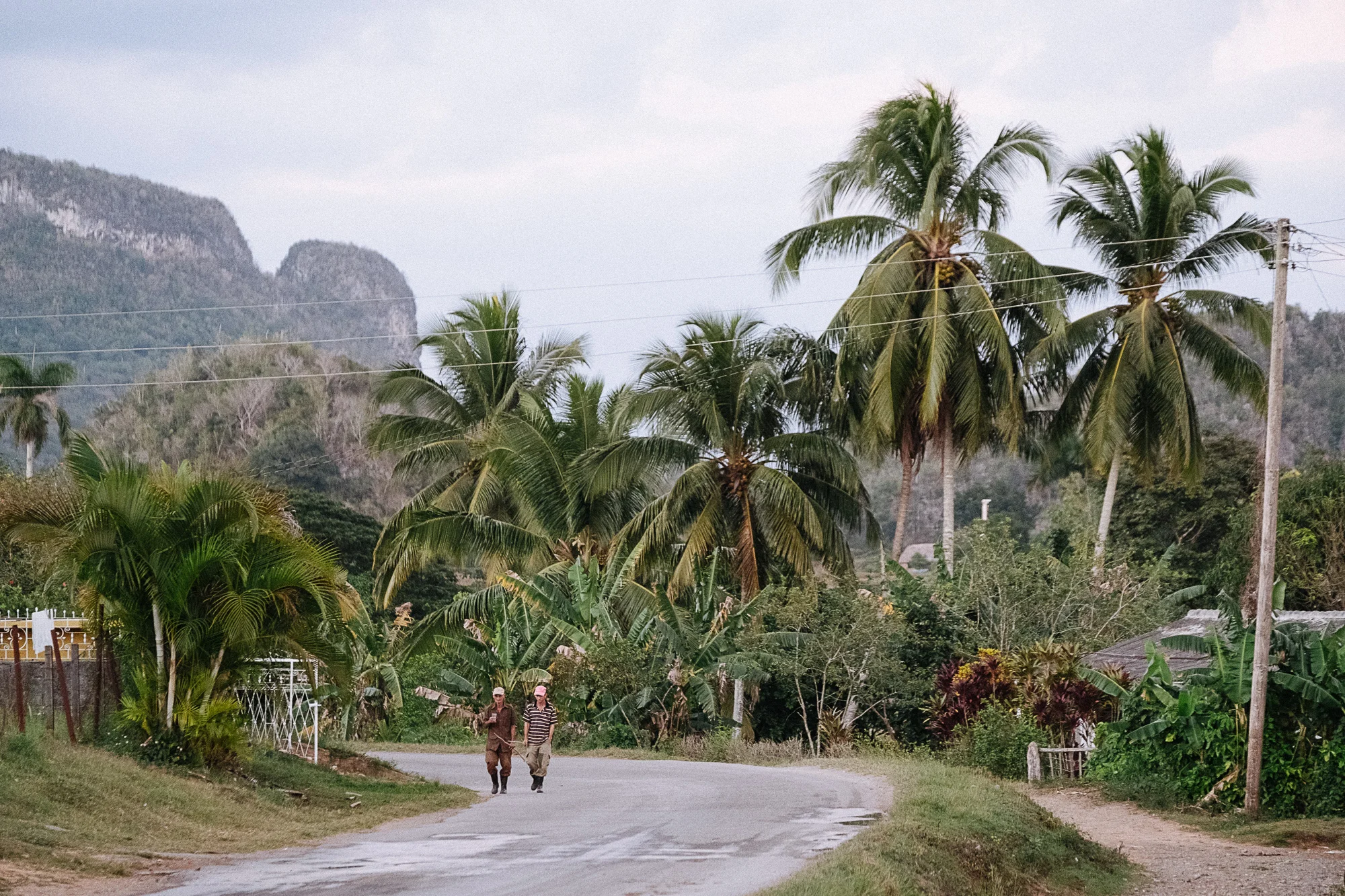 7 places you should visit in Viñales, Cuba + FREE Travel Guide — FOR ...