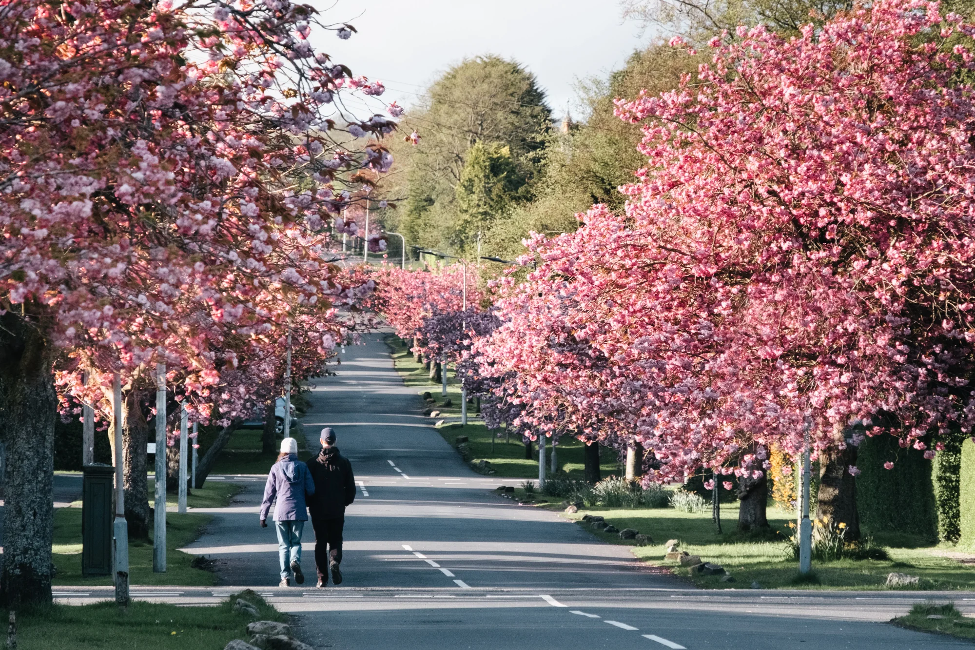 15 Things To See And Do In Helensburgh Scotland FOR ALL THINGS CREATIVE