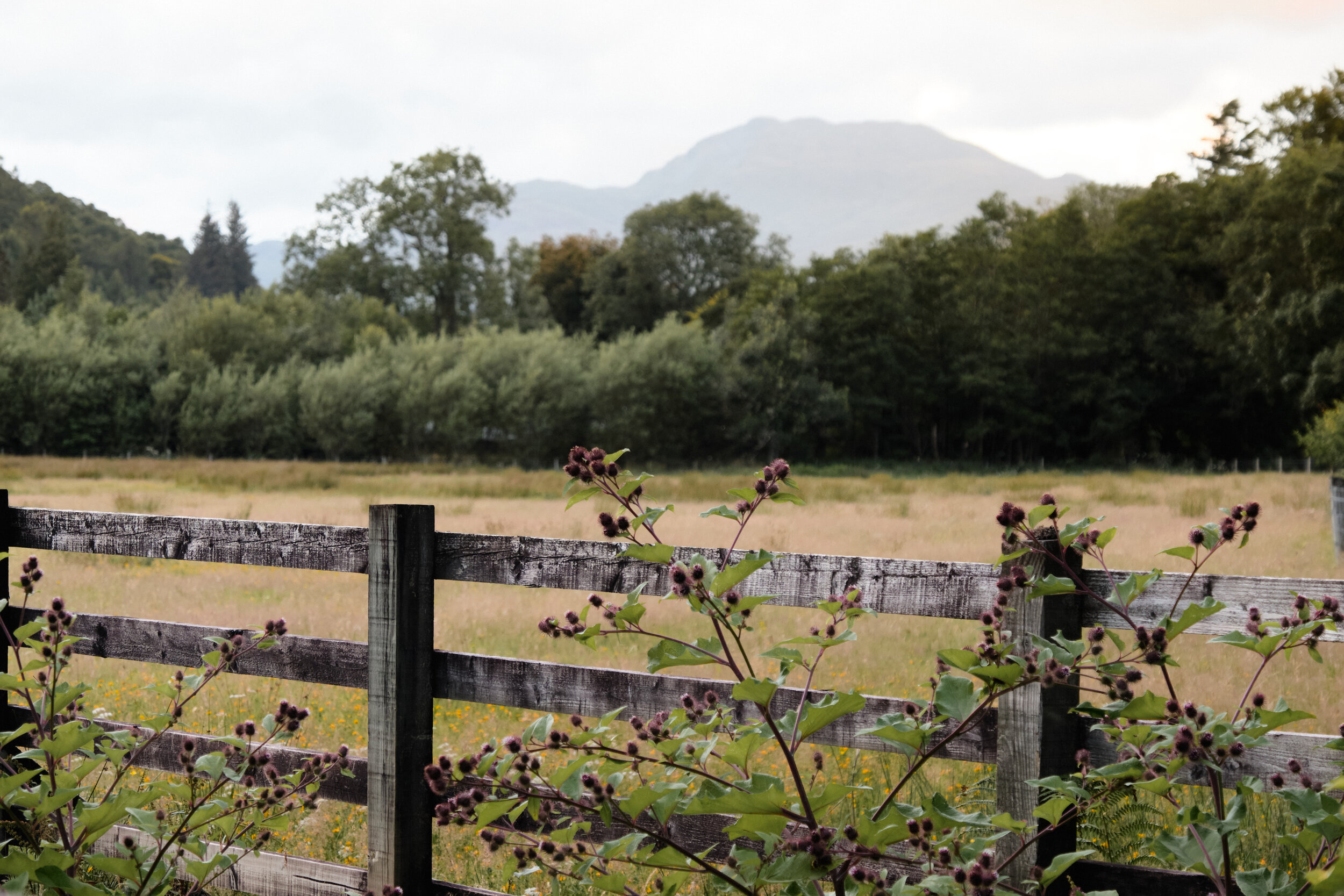 a-scenic-walk-along-the-heritage-trail-in-luss-loch-lomond-9.jpg