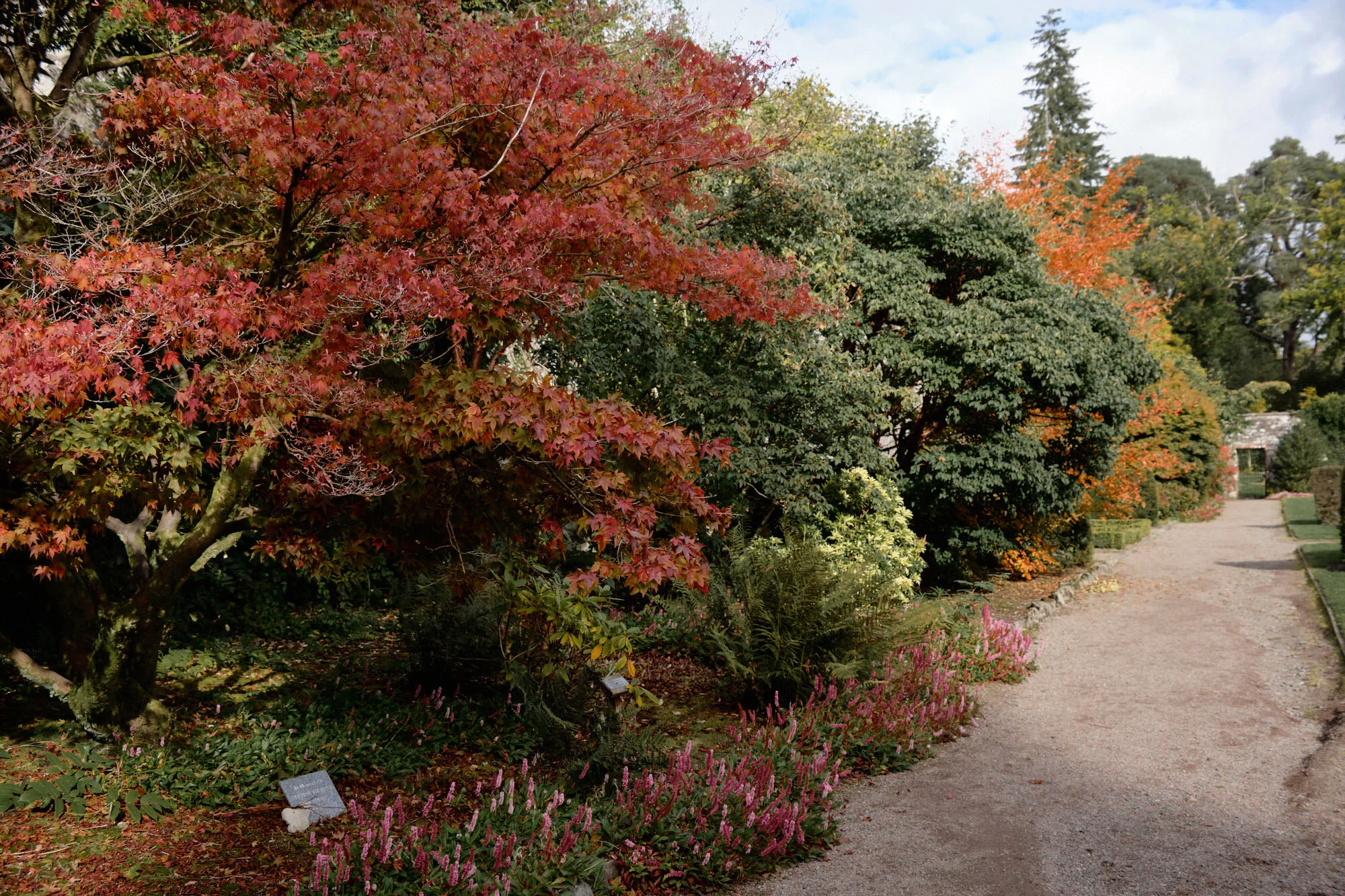 Walled Garden In The Heart Of Balloch Park, Loch Lomond — FOR ALL