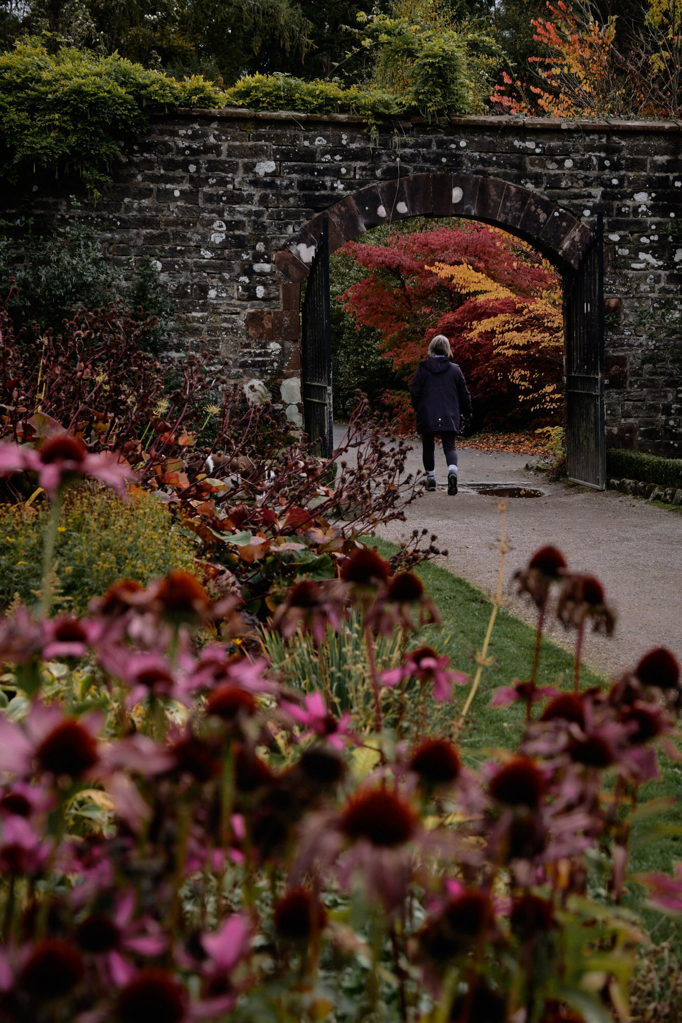 walled-garden-balloch-park-scotland-12.jpg