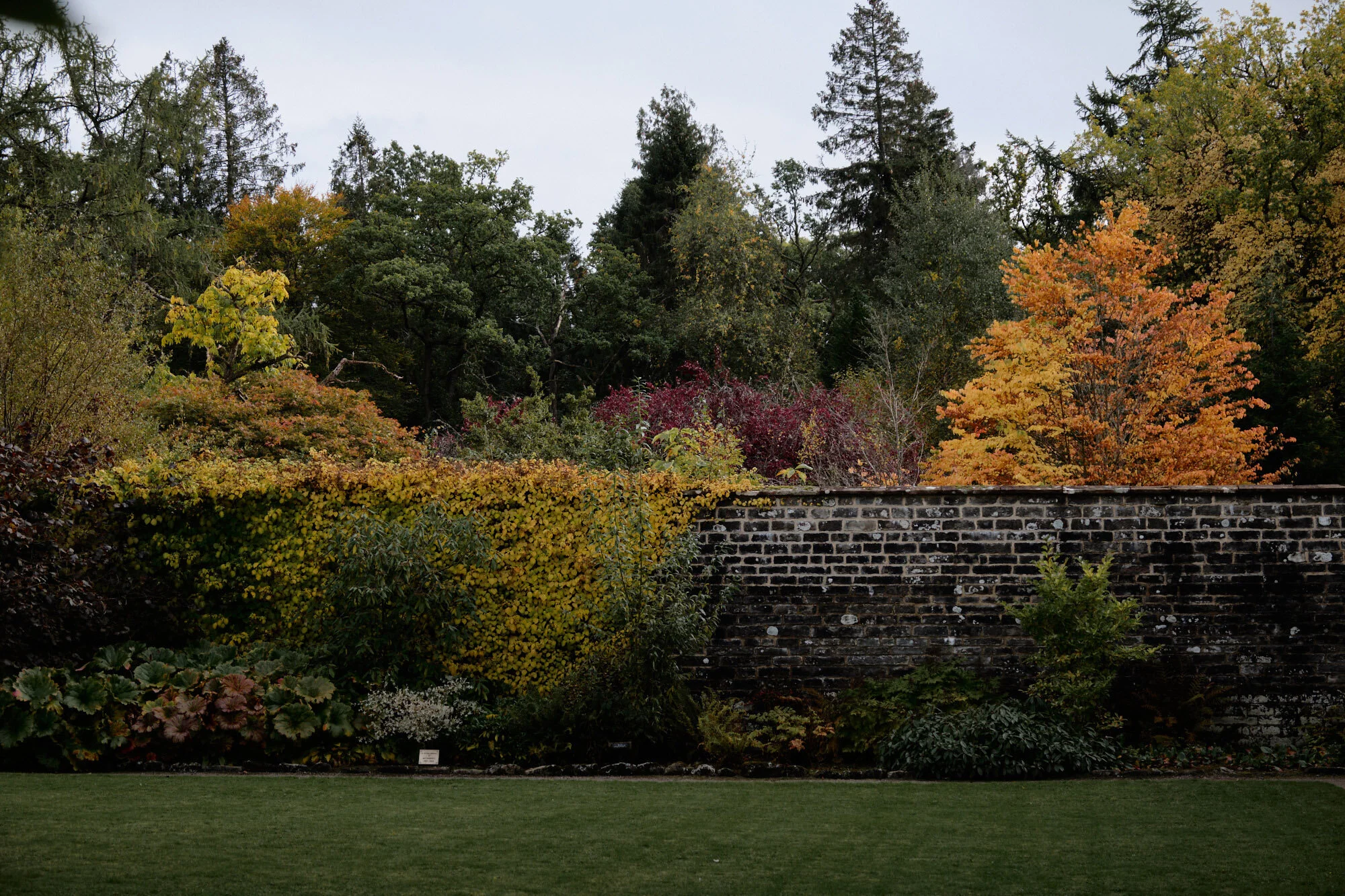Walled Garden In The Heart Of Balloch Park, Loch Lomond — FOR ALL