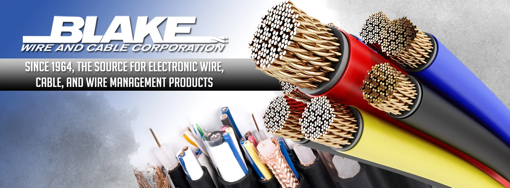 Blake_Wire_cover__.jpg