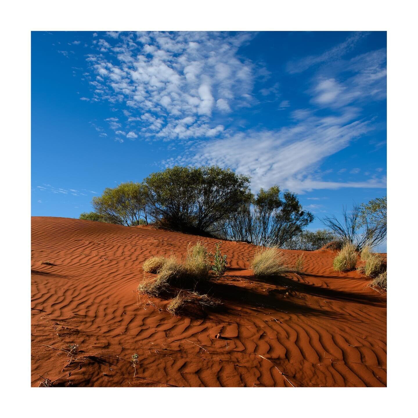 did you know the Australian outback looks like this? I was extremely fortunate to travel thru it on my own in 2014 for 5 days with a tent on the roof of the car, magic memories... and 10K pictures in 4 weeks Australia trip. #oz #australia #outback #t