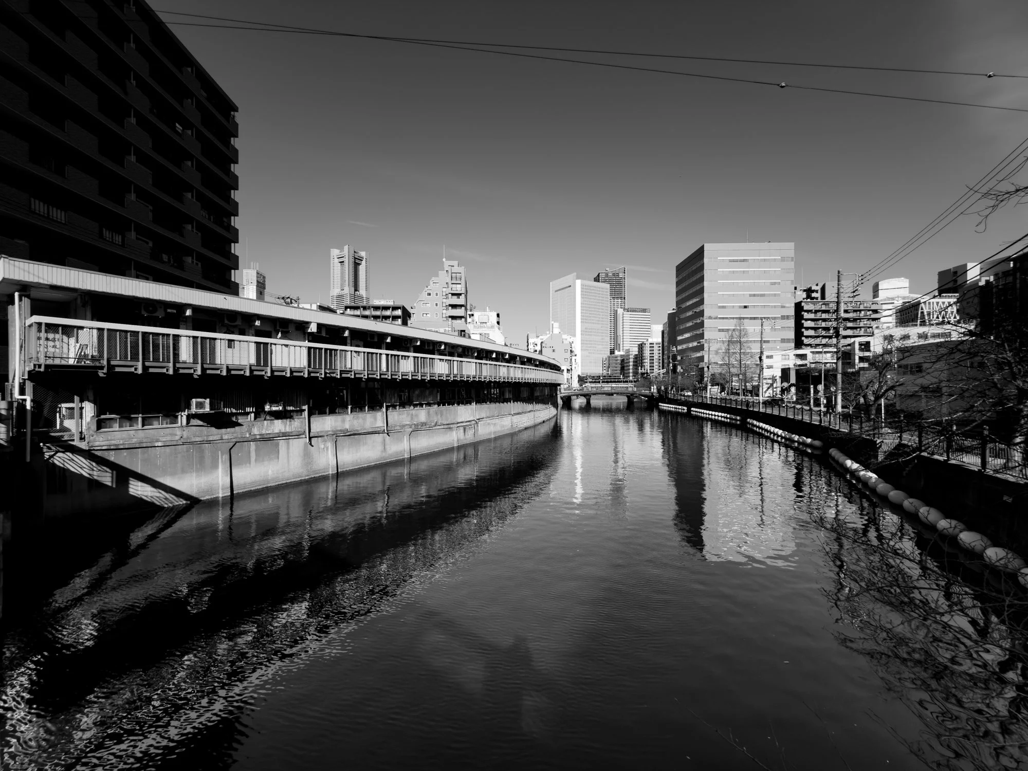 20260131japan255959.jpg