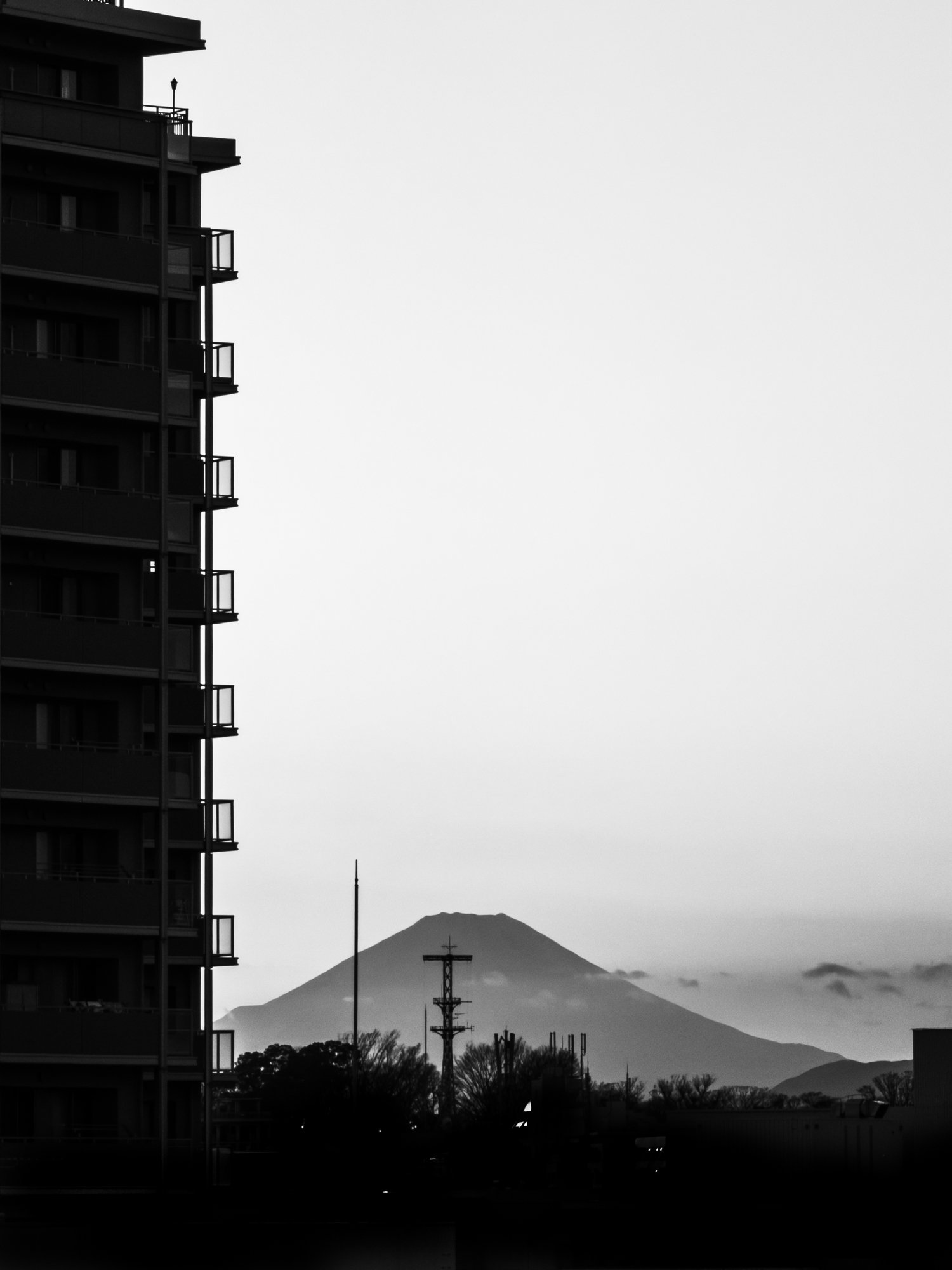 20260131japan253581.jpg