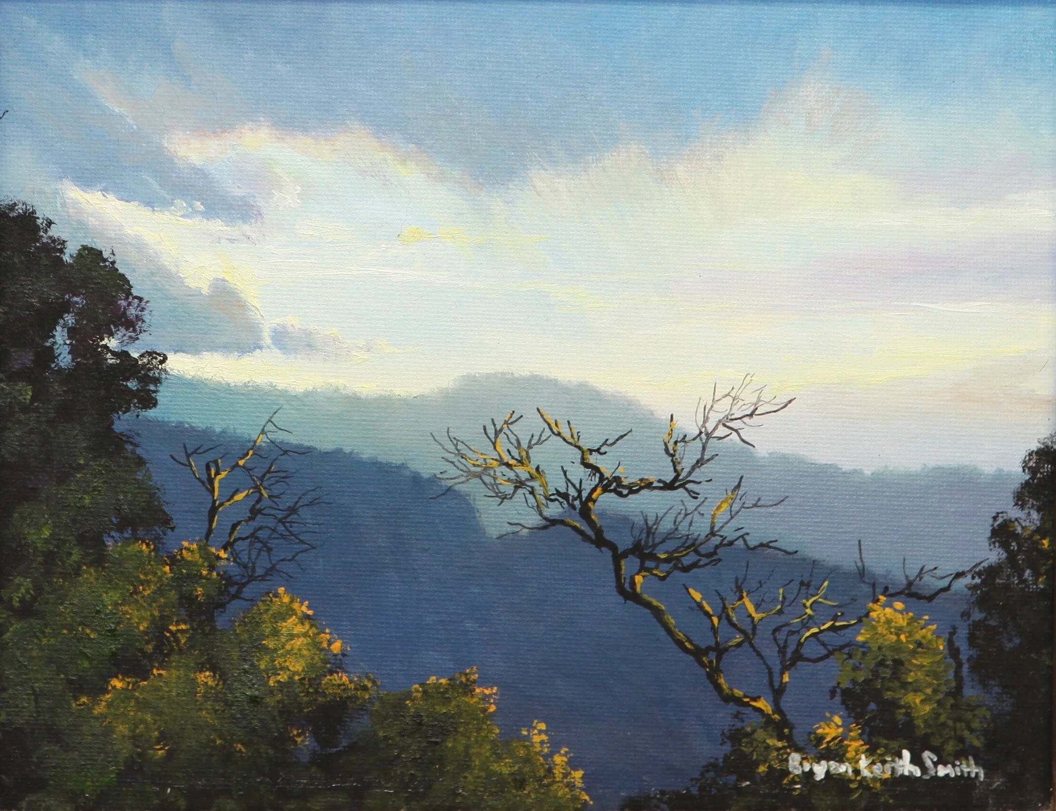 Late Winter Sun 10" W x 8" H $1200.