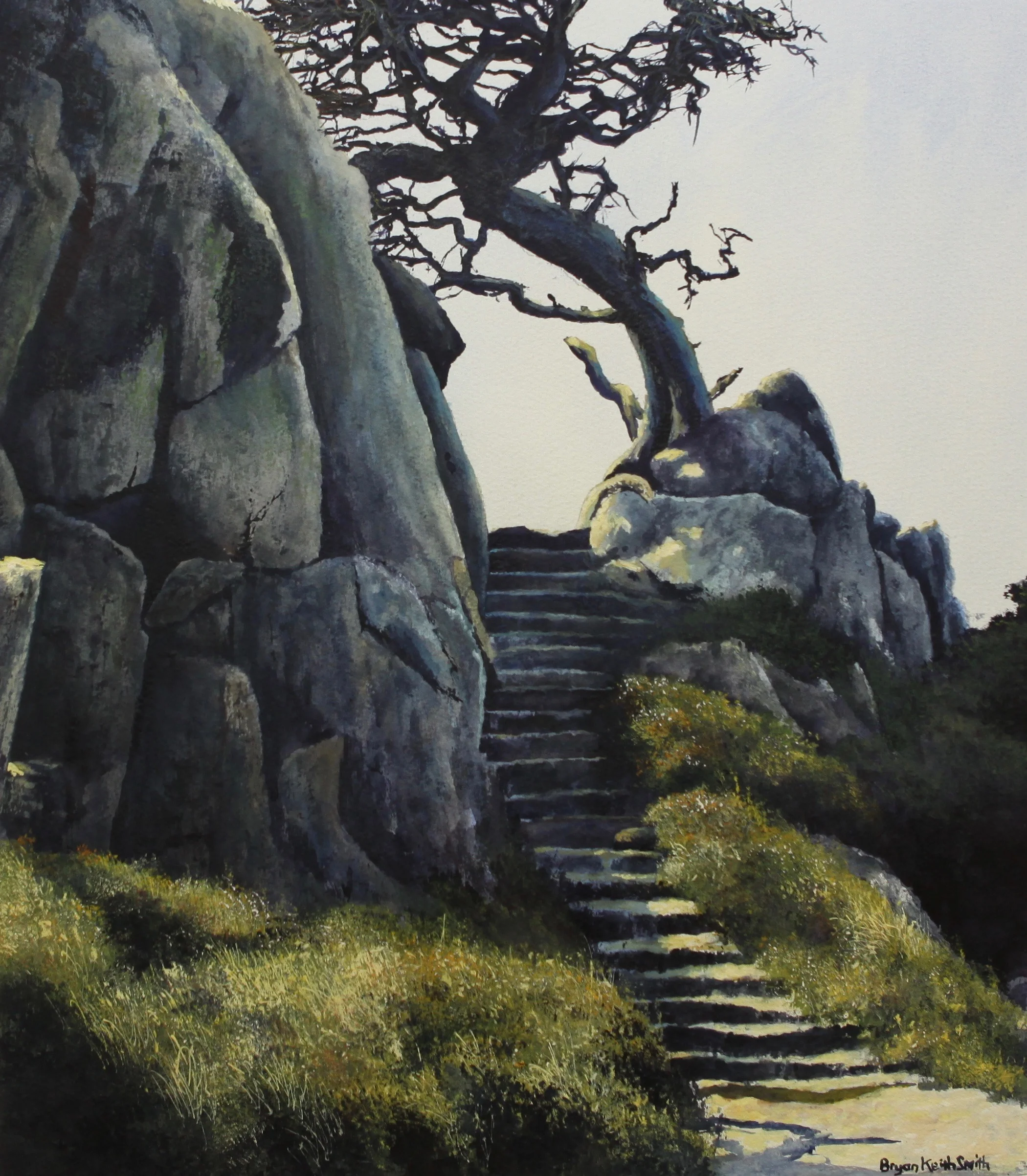 Point Lobos, CA 17" W x 19 1/4" H $2500.