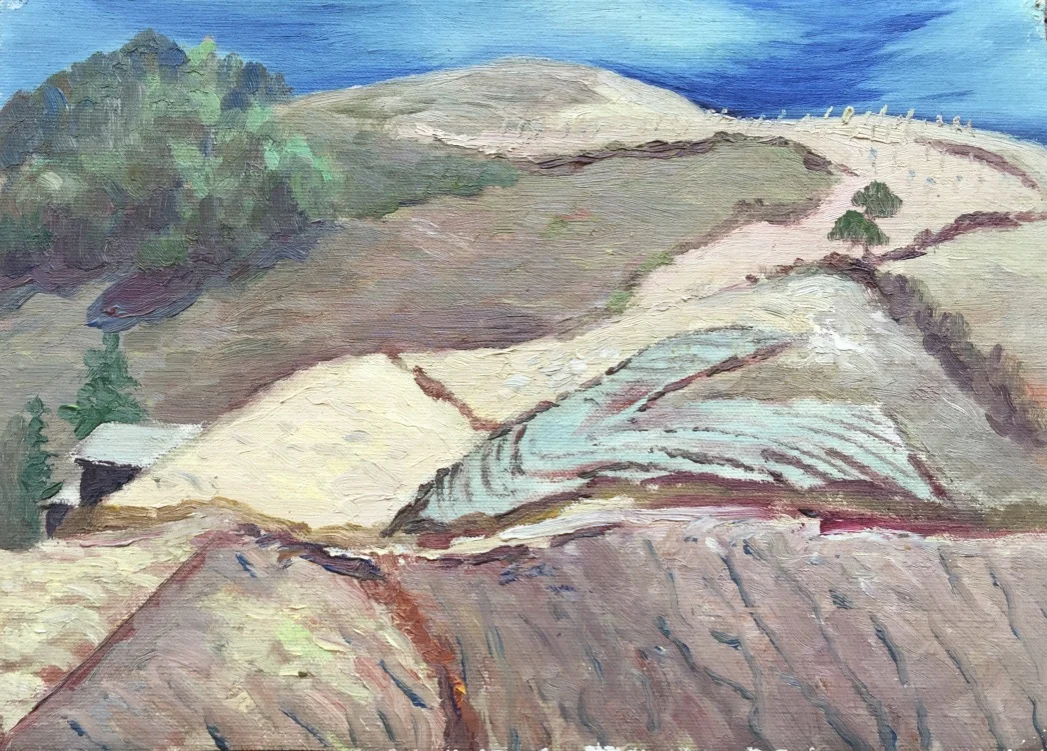 Vineyard Views 9”H X 12 3/8”W $500