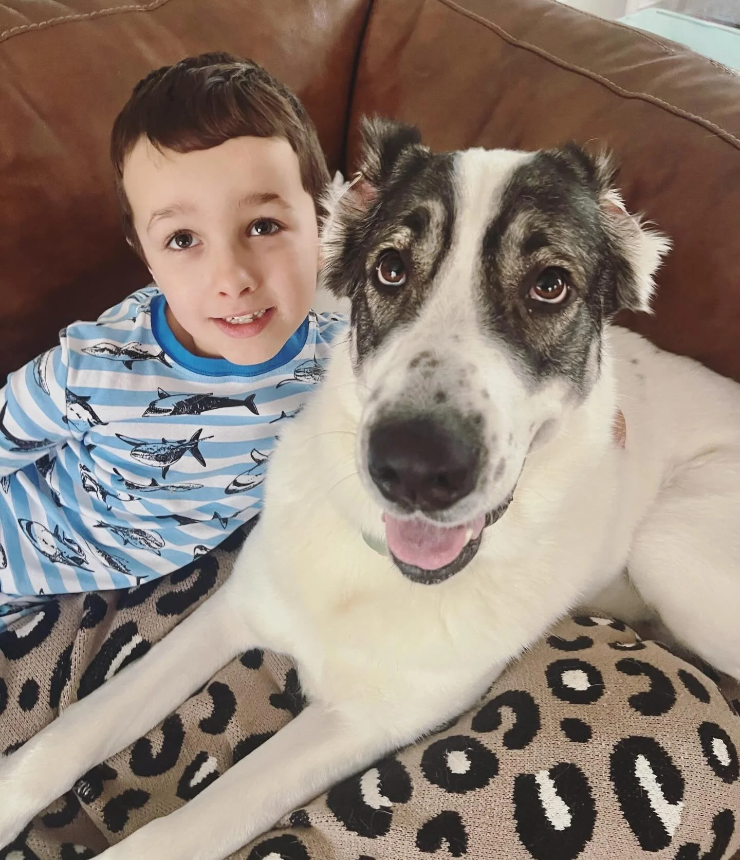 She has the strength to protect an entire homestead and the softness of a nanny. 

Sunday snuggles with Bibi are the best. 

For all her power, Bibi has the most gentle heart for the people she loves. Especially her six-year-old best friend. She lean