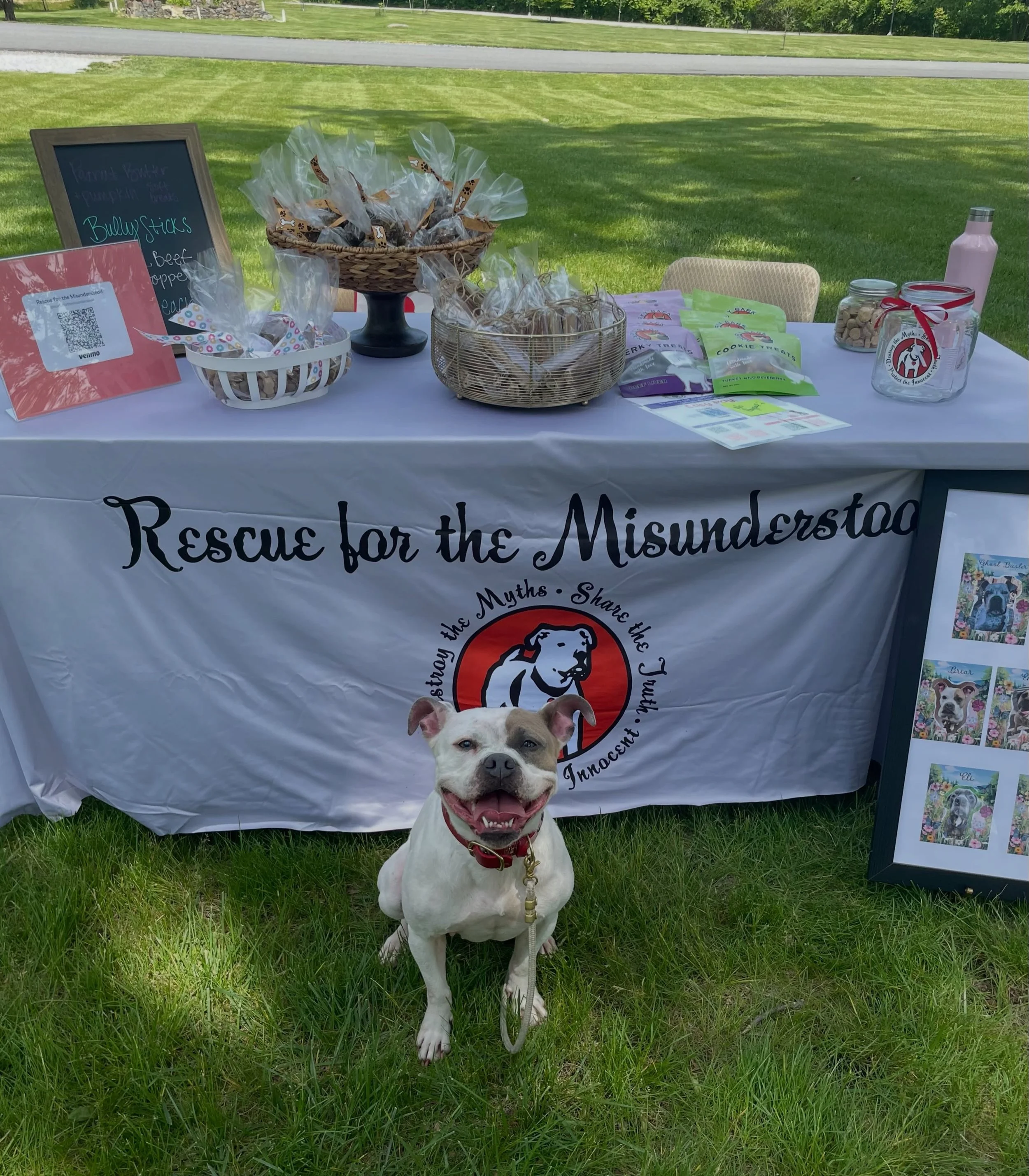 Briar was such a good girl at yesterday&rsquo;s Yappy Hour. She spent the afternoon making new friends, soaking up affection and reminding everyone just how sweet these dogs truly are.

Thank you to the Rockwood Park Preservation Society for having u