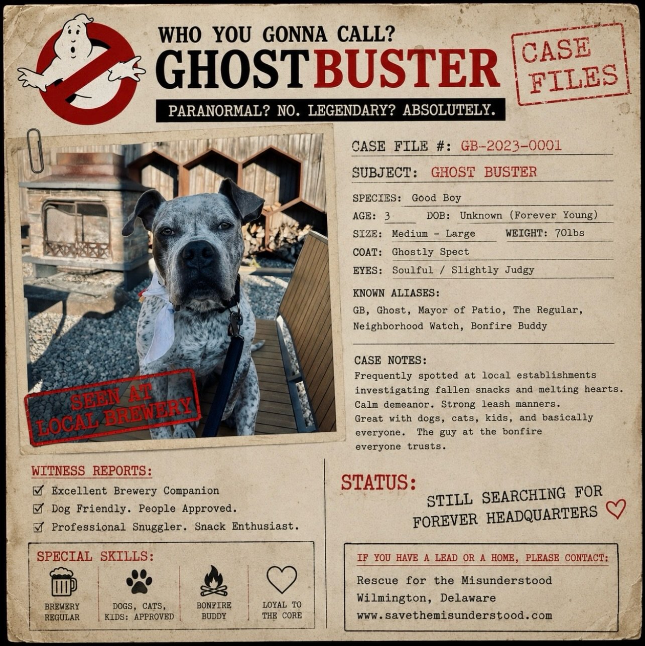 CASE FILE: GHOST BUSTER 👻

Frequent sightings continue across Delaware breweries, patios, bonfires, and public establishments.

Witnesses describe subject as: suspiciously charming emotionally intelligent excellent leash manners &ldquo;the guy at th