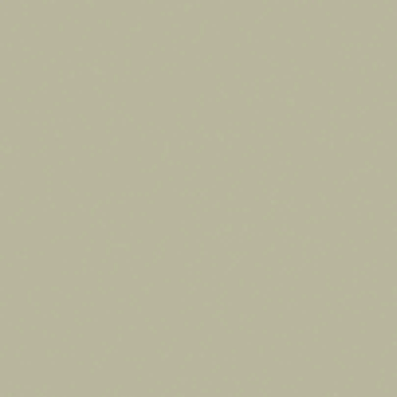 1909_FlintGrey_L.jpg